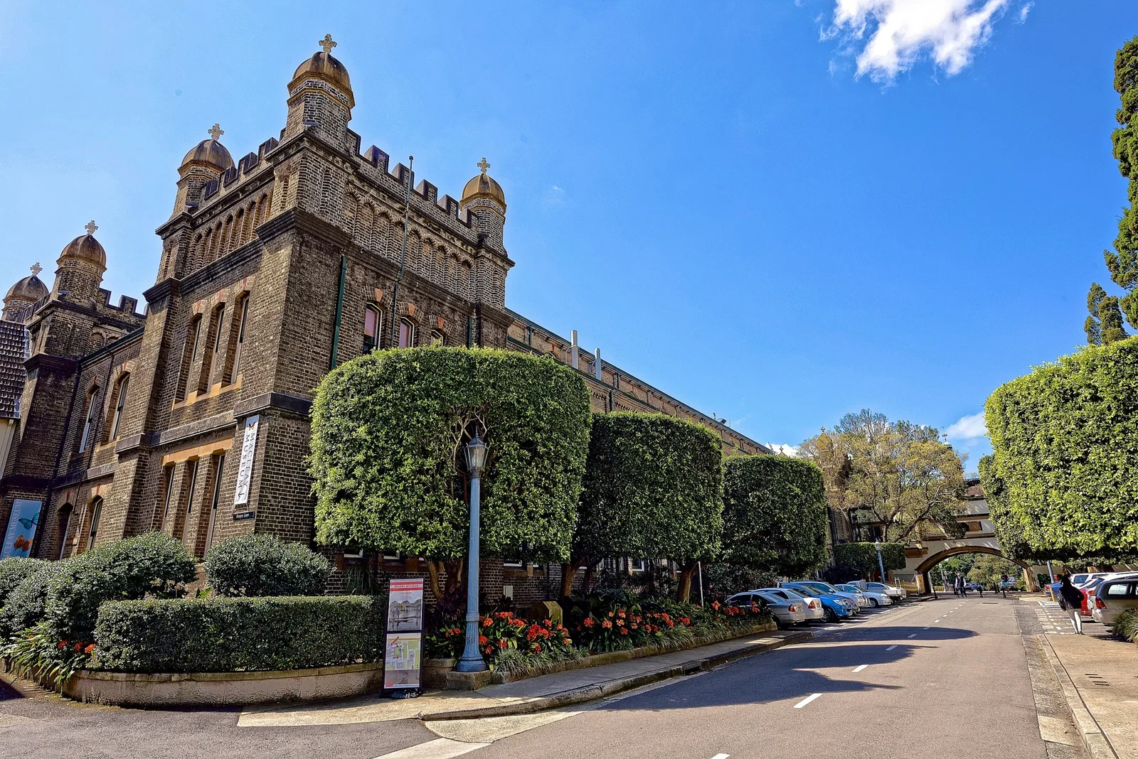 Macleay Museum