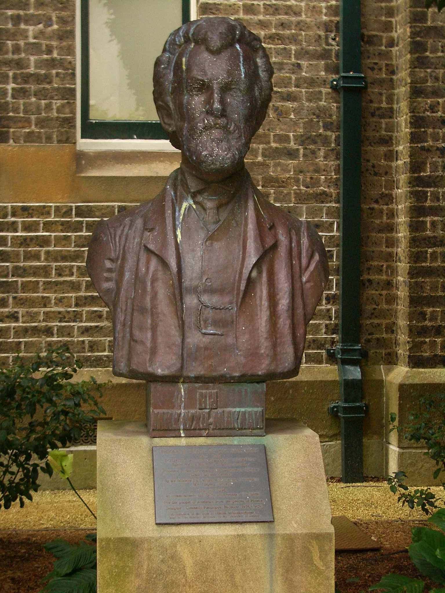 Macleay Museum