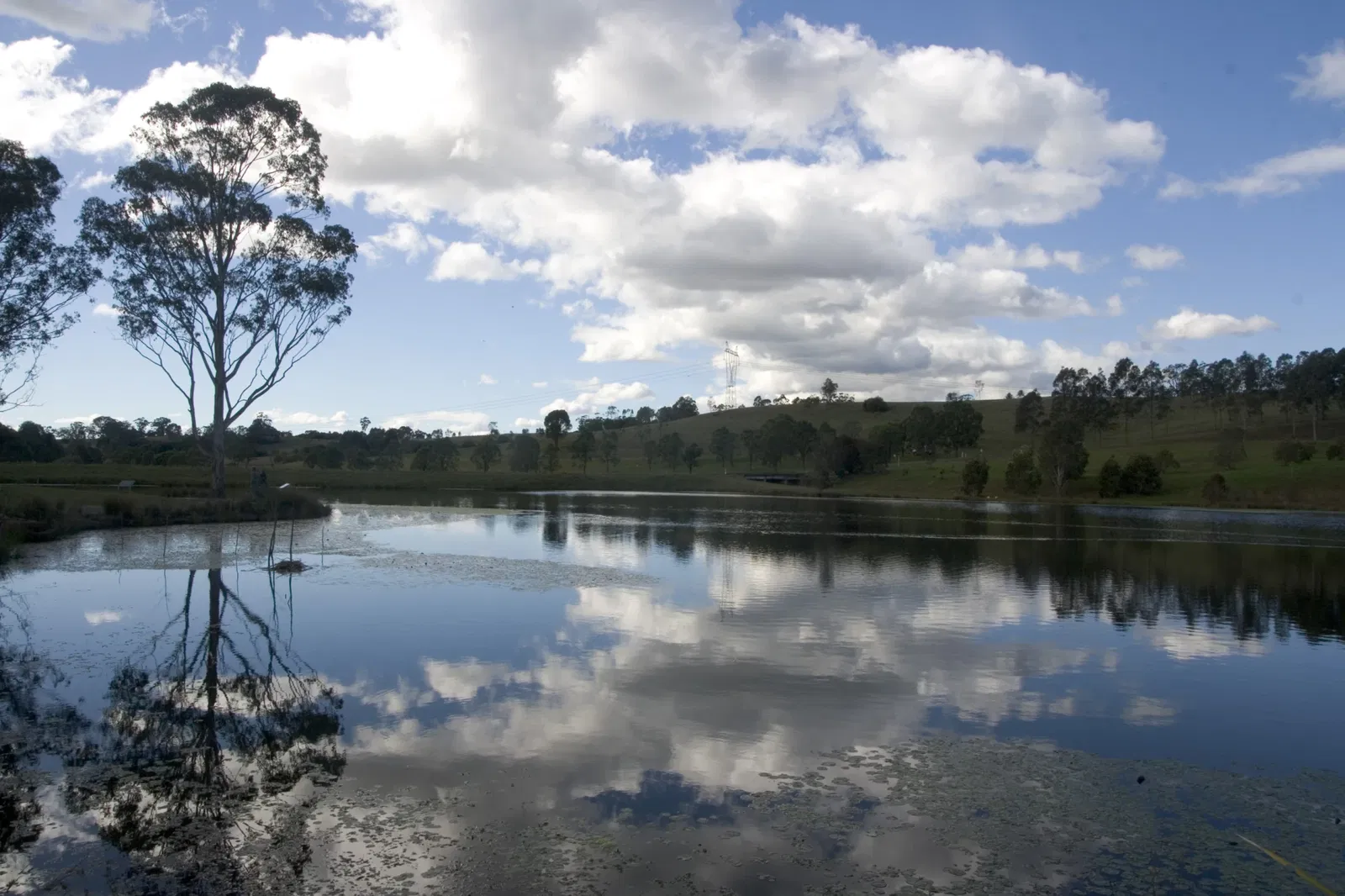 Australian Botanic Garden