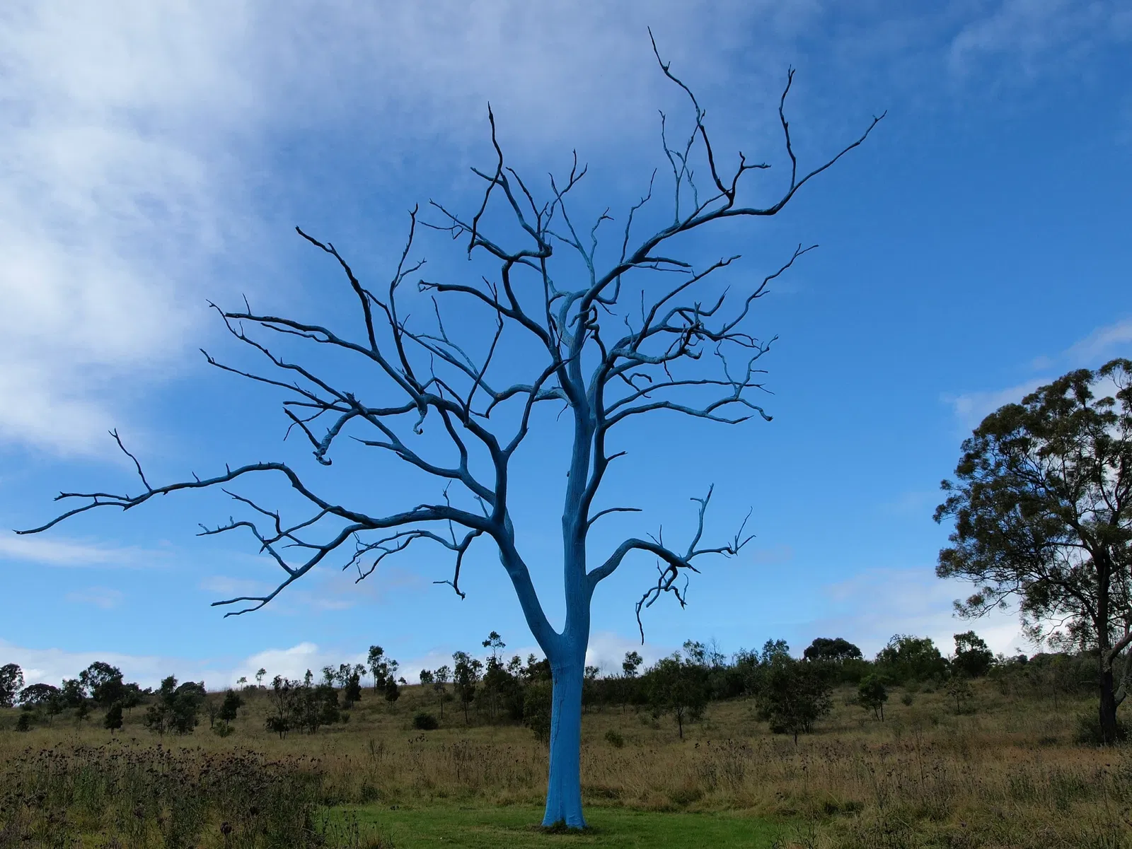 Australian Botanic Garden