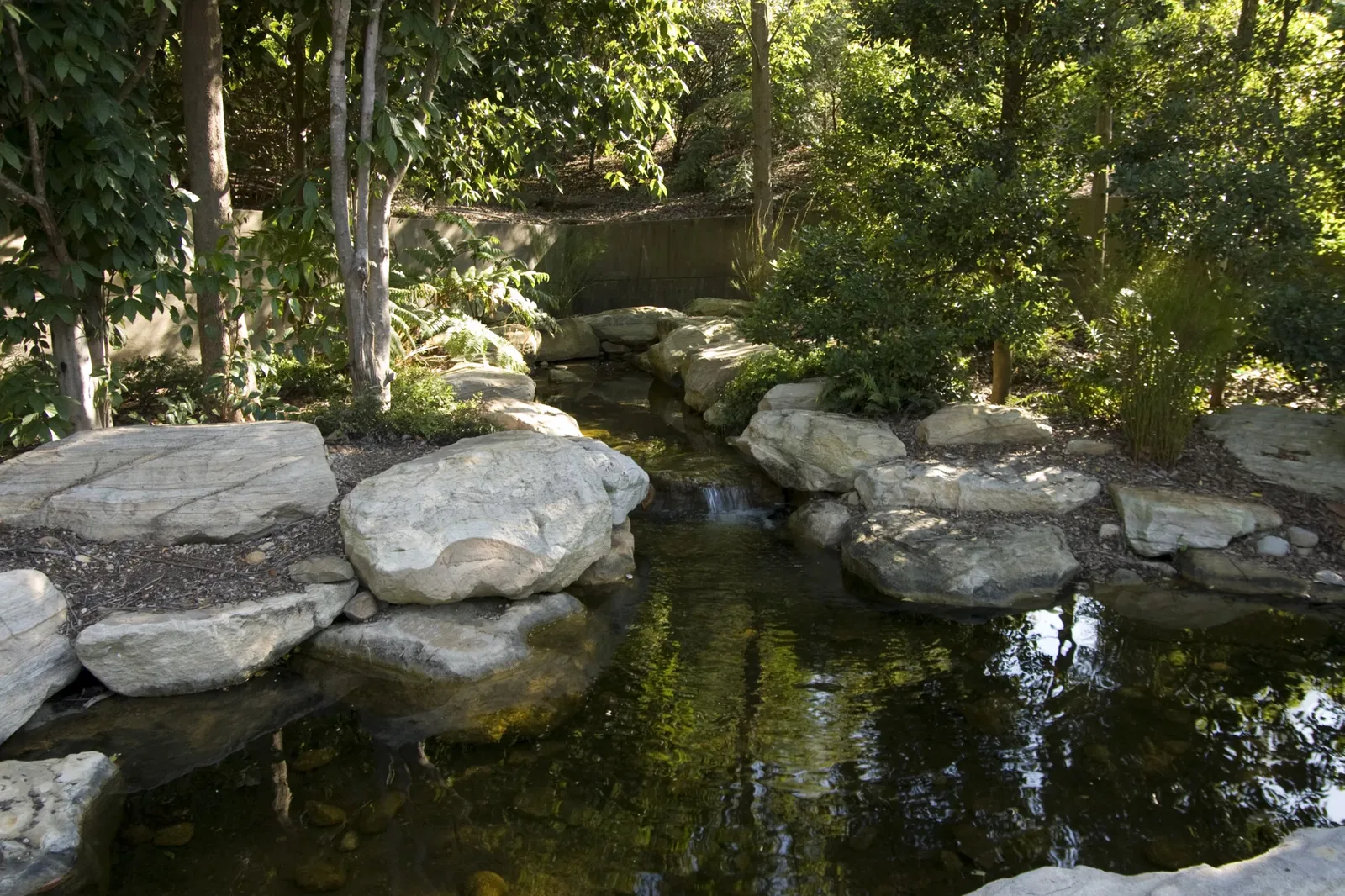 Australian Botanic Garden