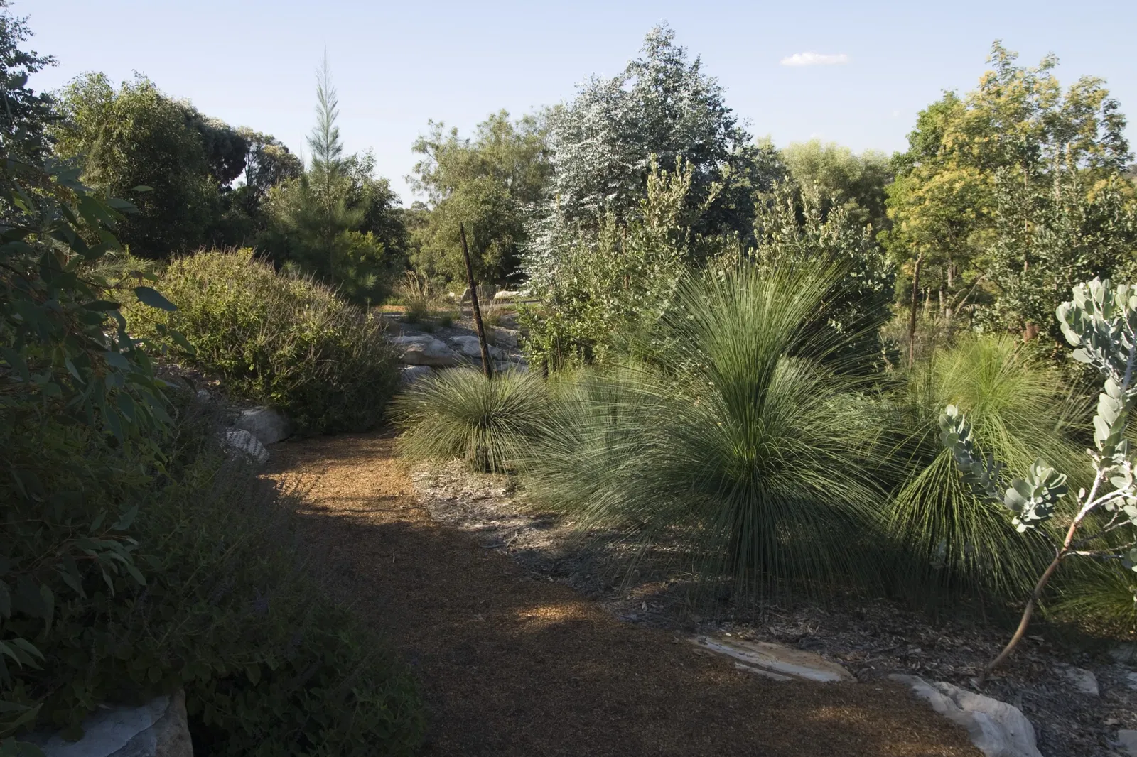 Australian Botanic Garden