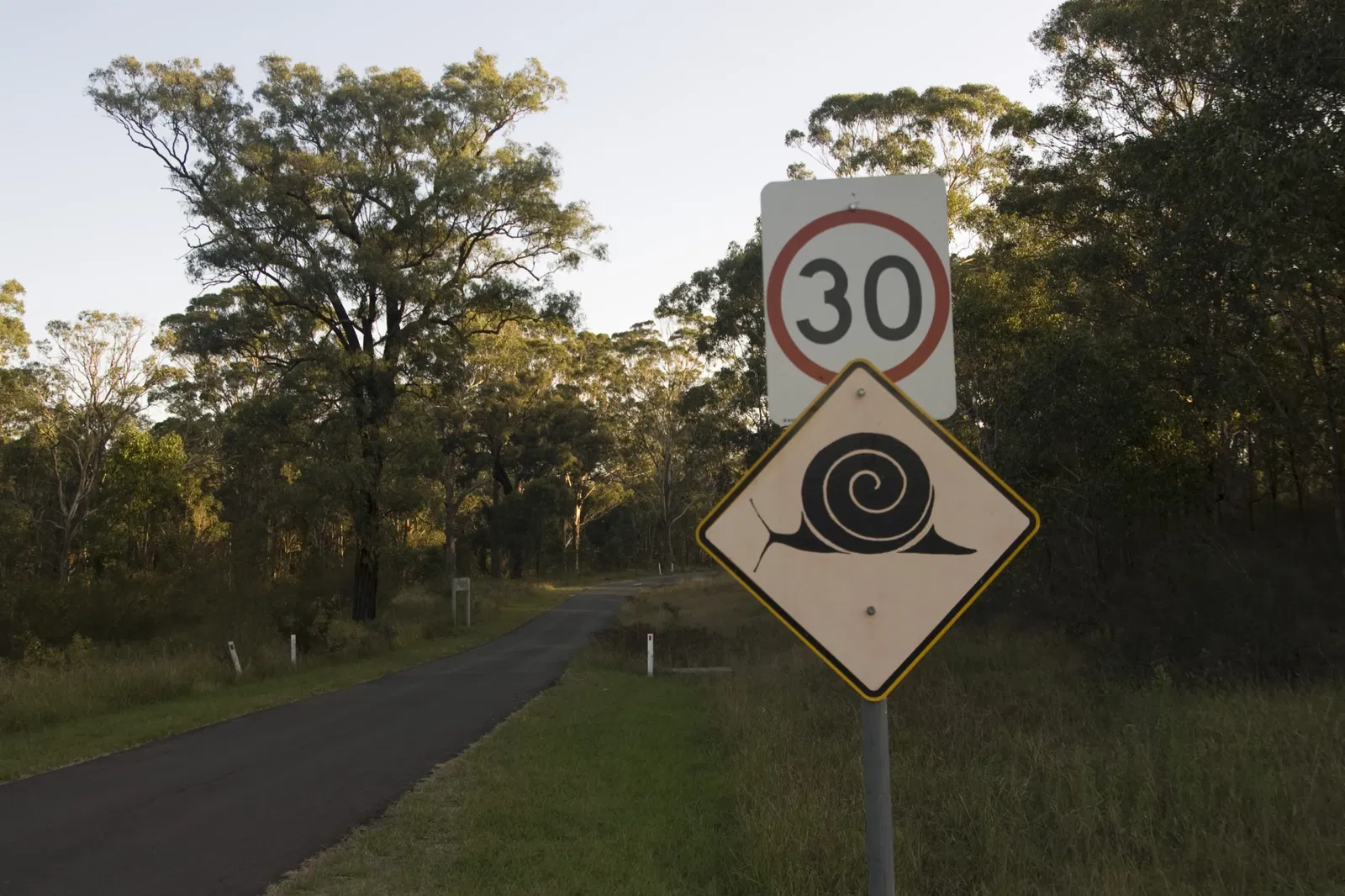Australian Botanic Garden