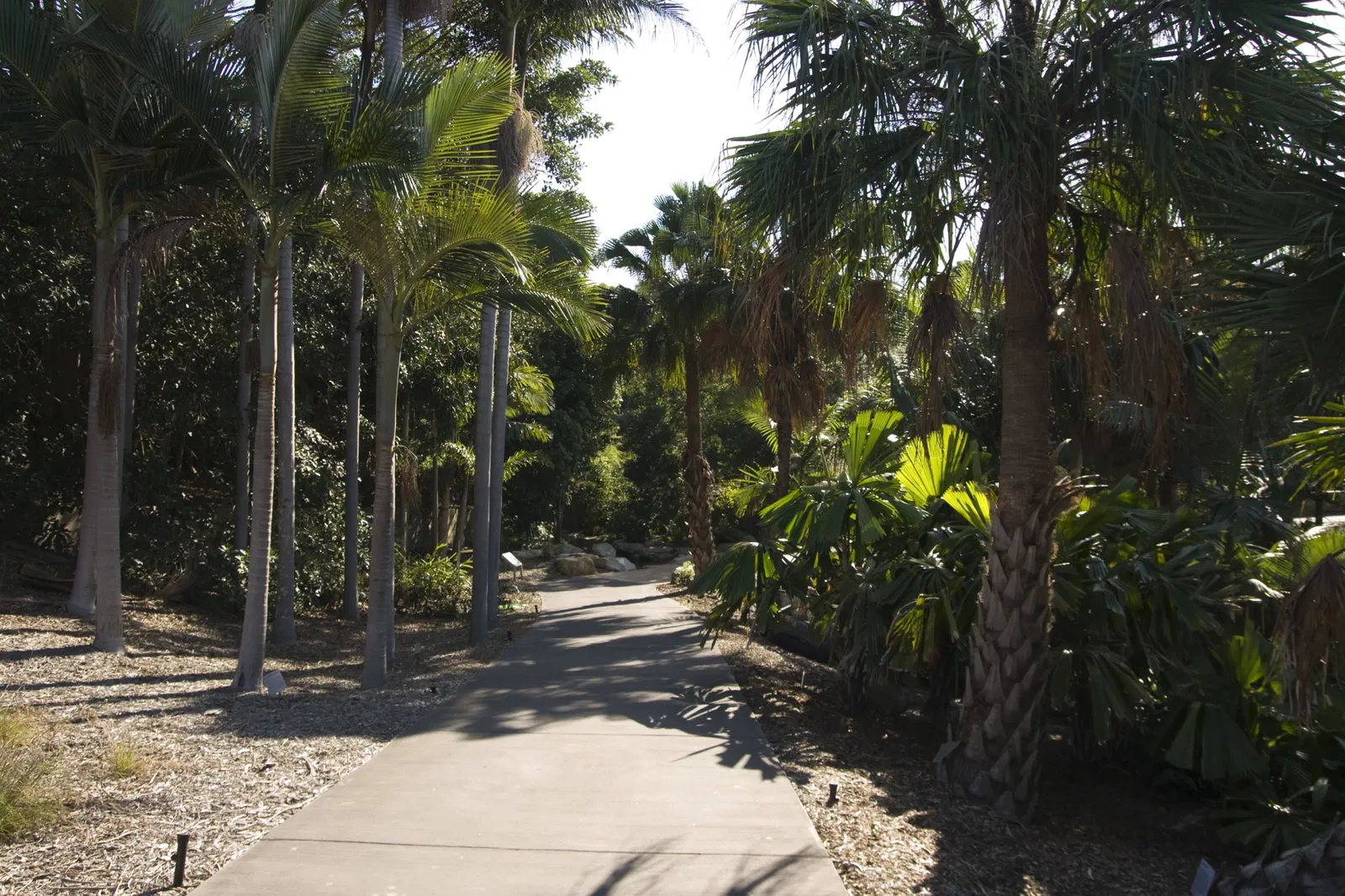 Australian Botanic Garden