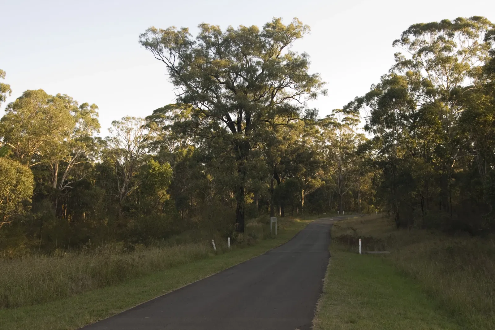 Australian Botanic Garden