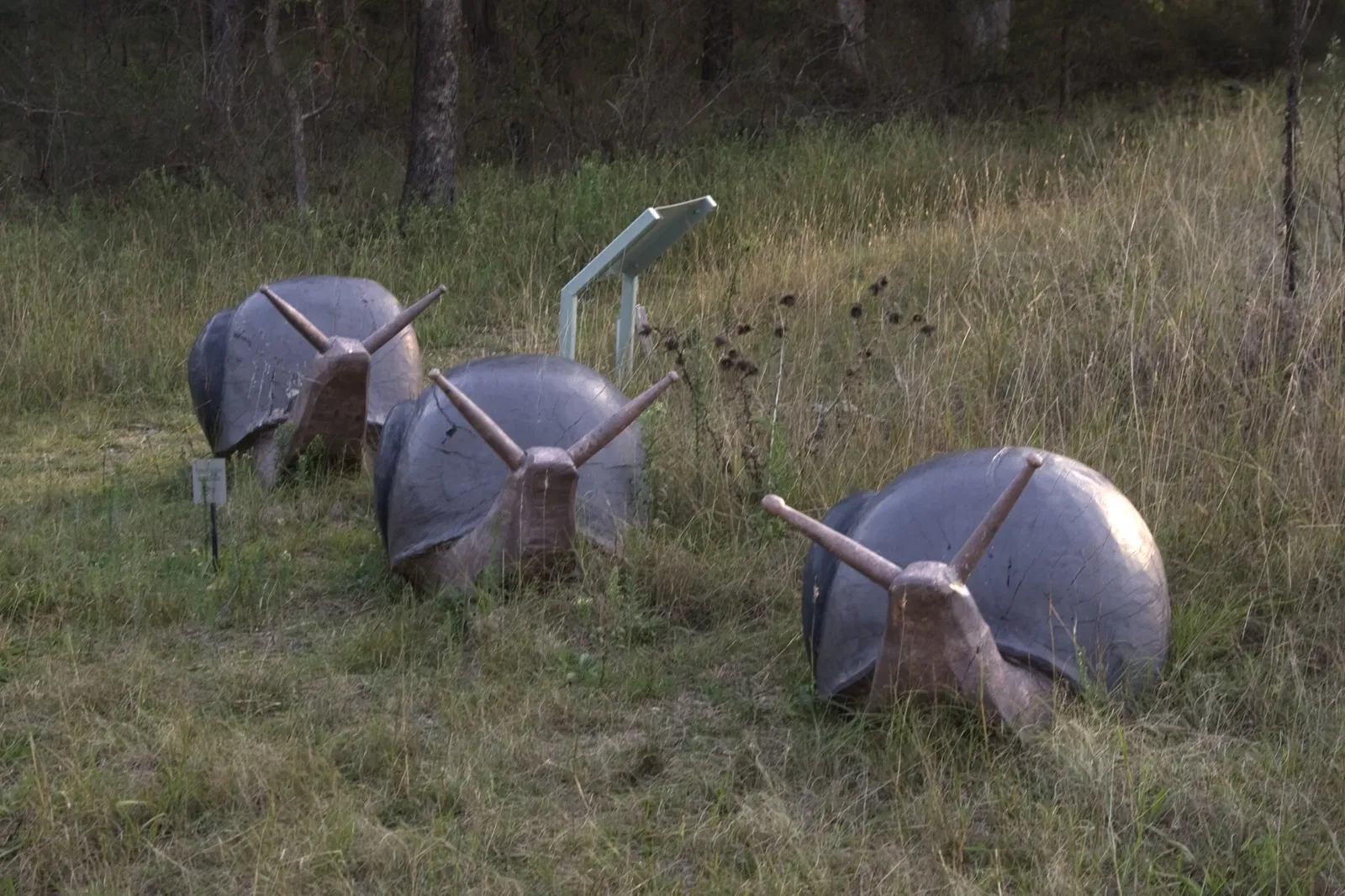 Australian Botanic Garden