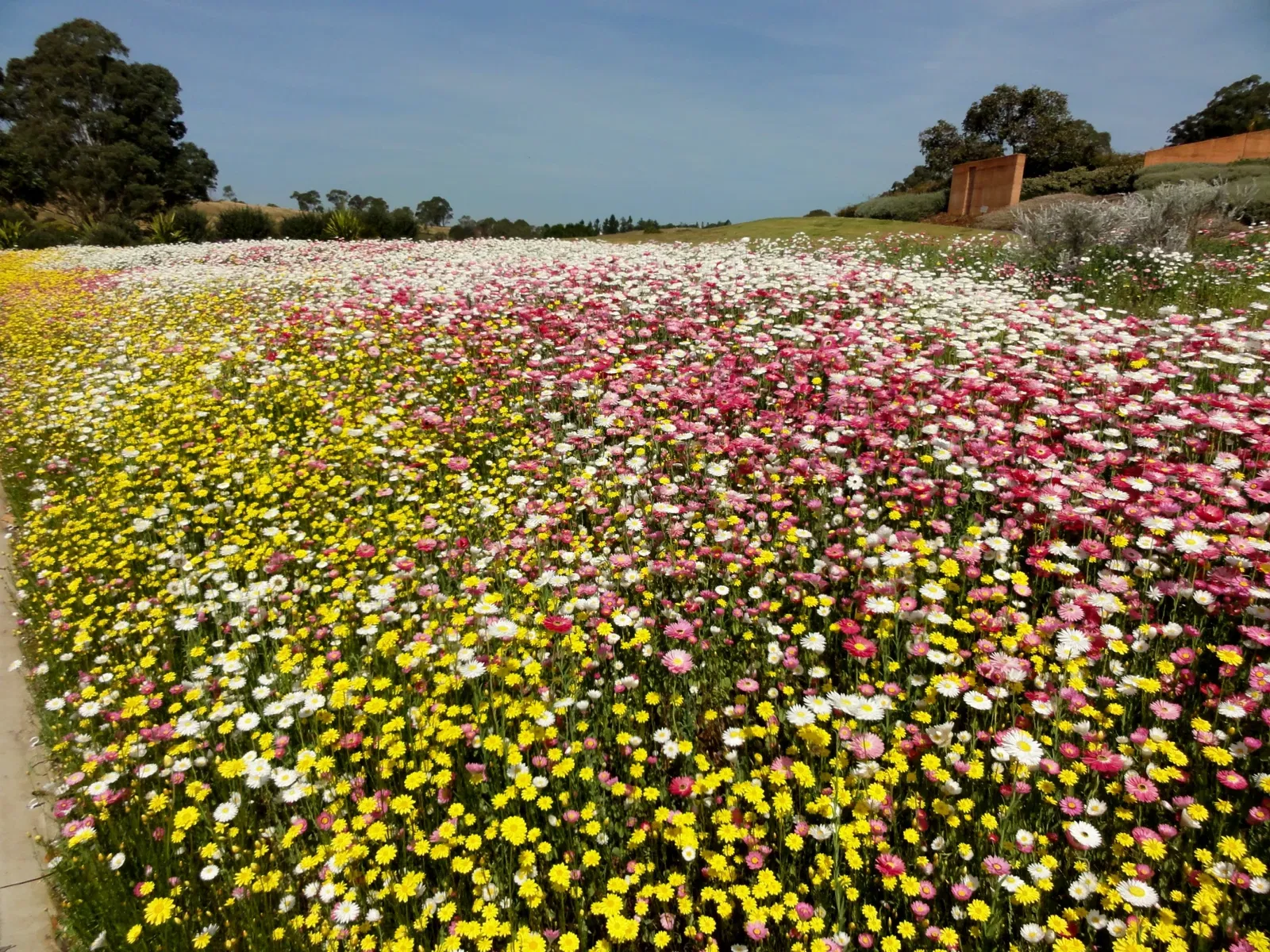 Australian Botanic Garden