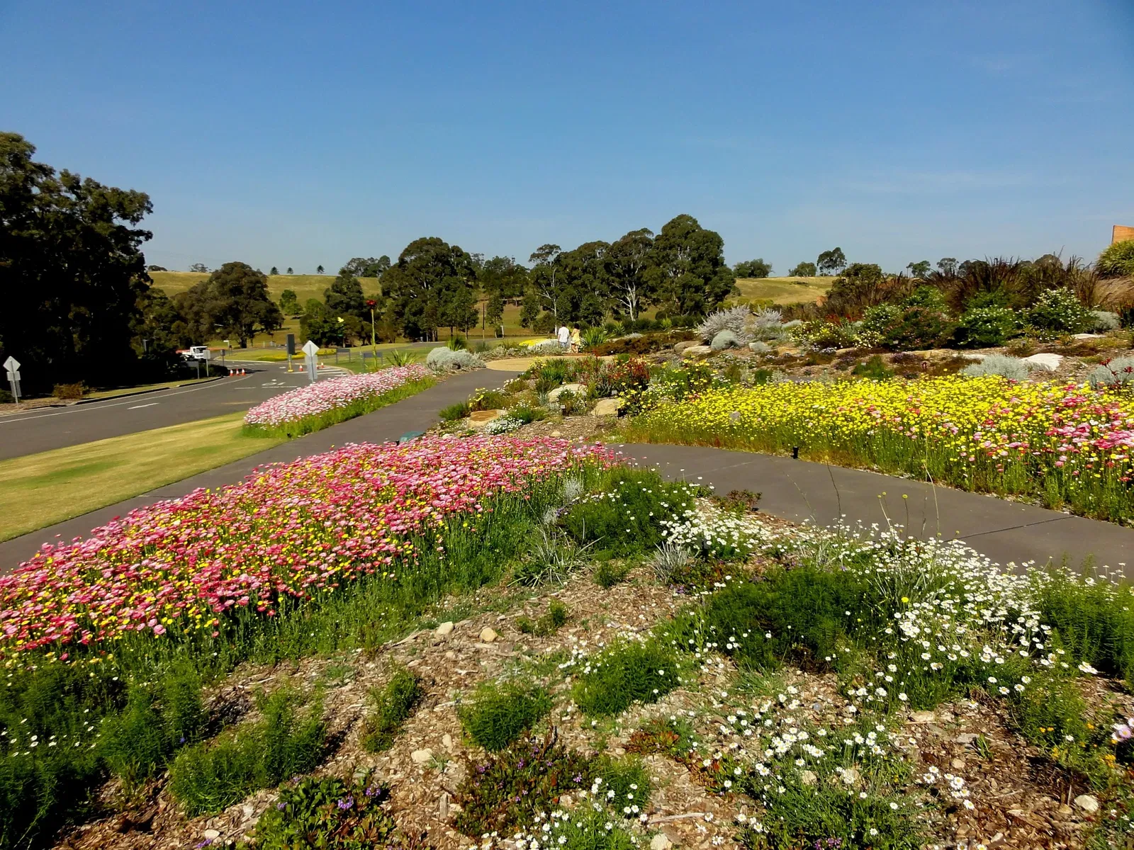 Australian Botanic Garden