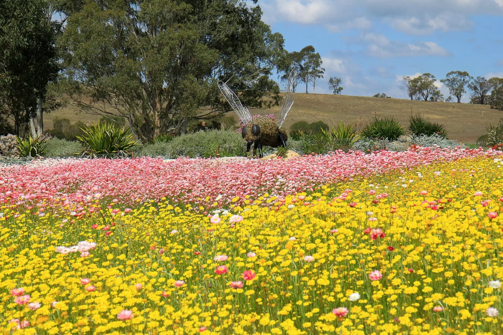 Australian Botanic Garden