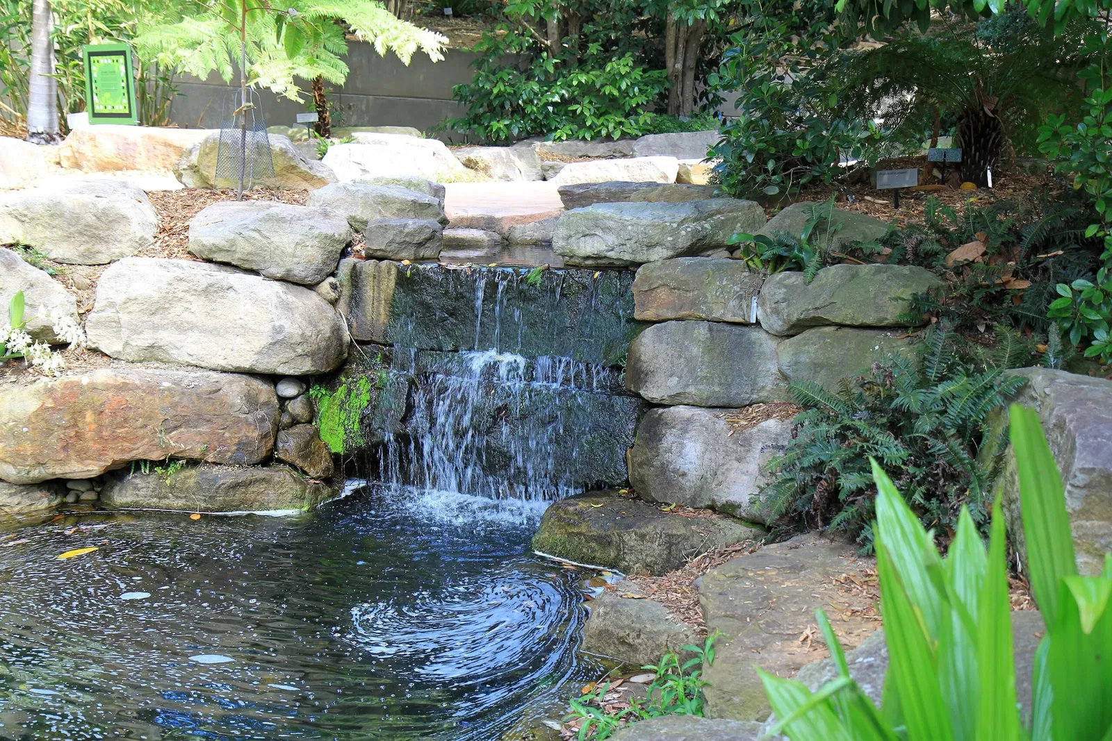 Australian Botanic Garden