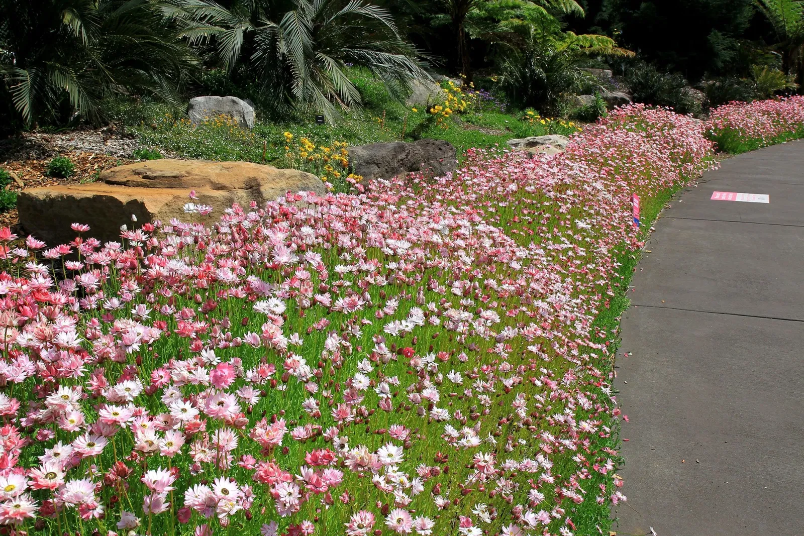 Australian Botanic Garden