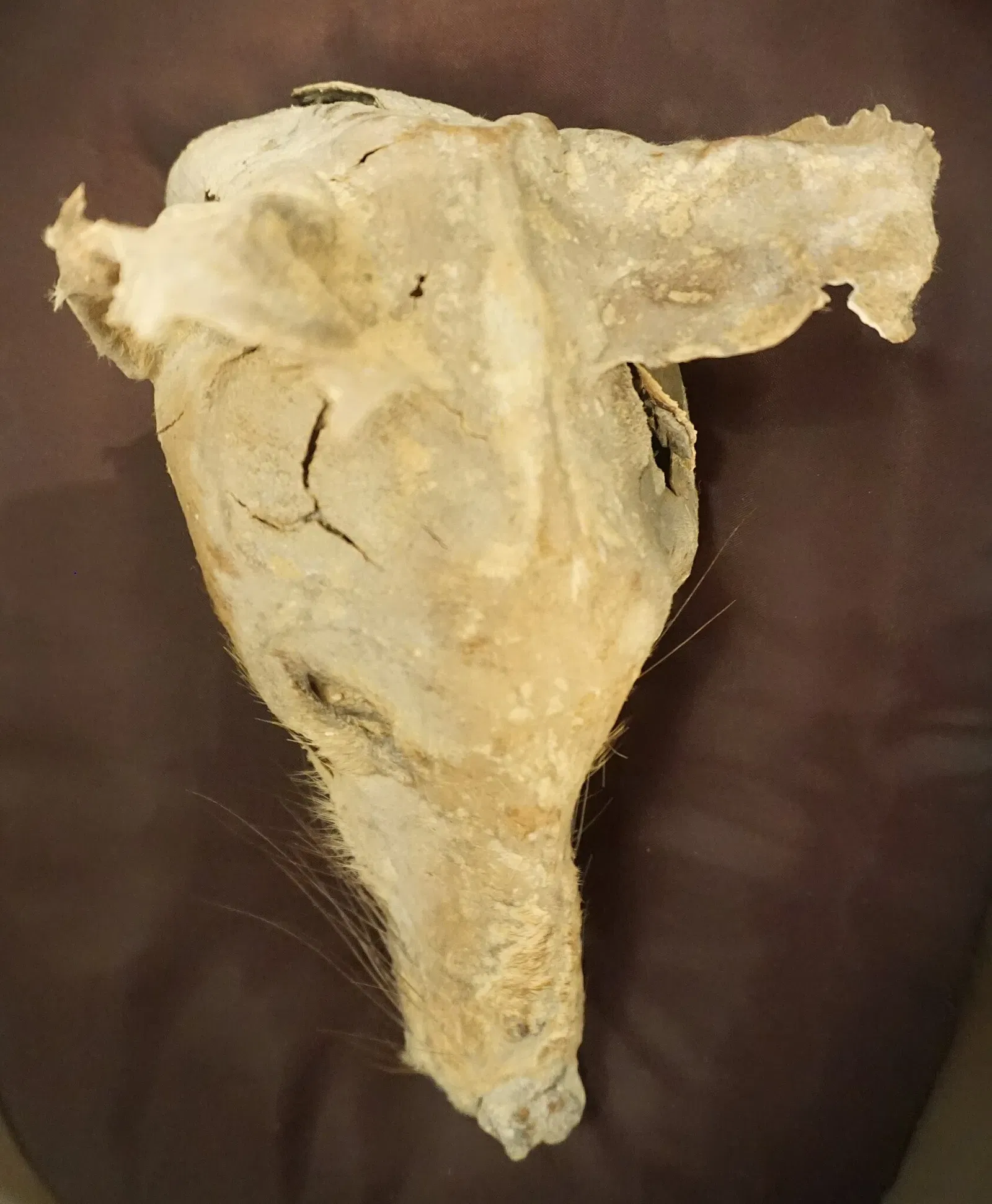 National Museum of Australia