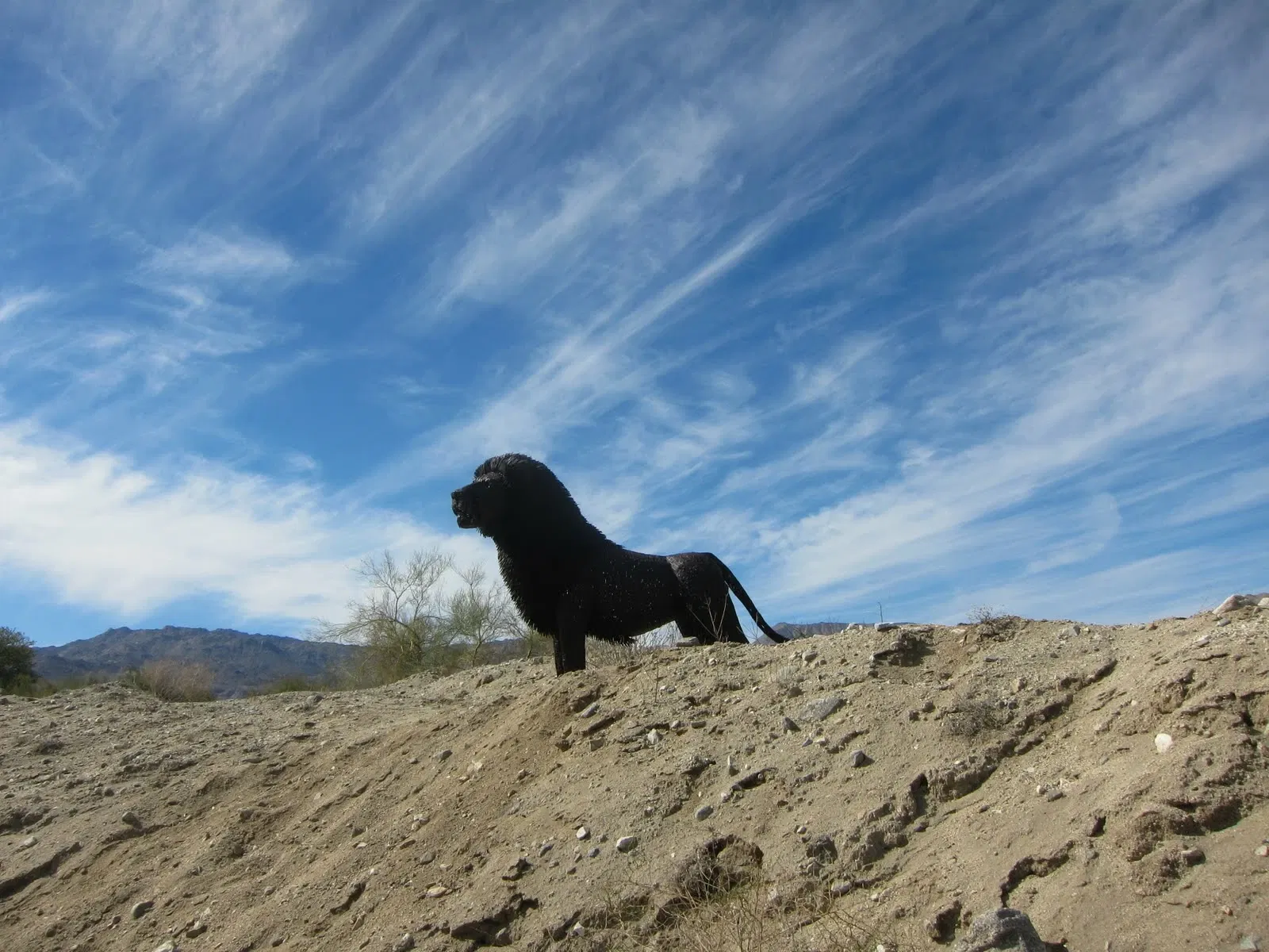 The Living Desert Zoo and Gardens