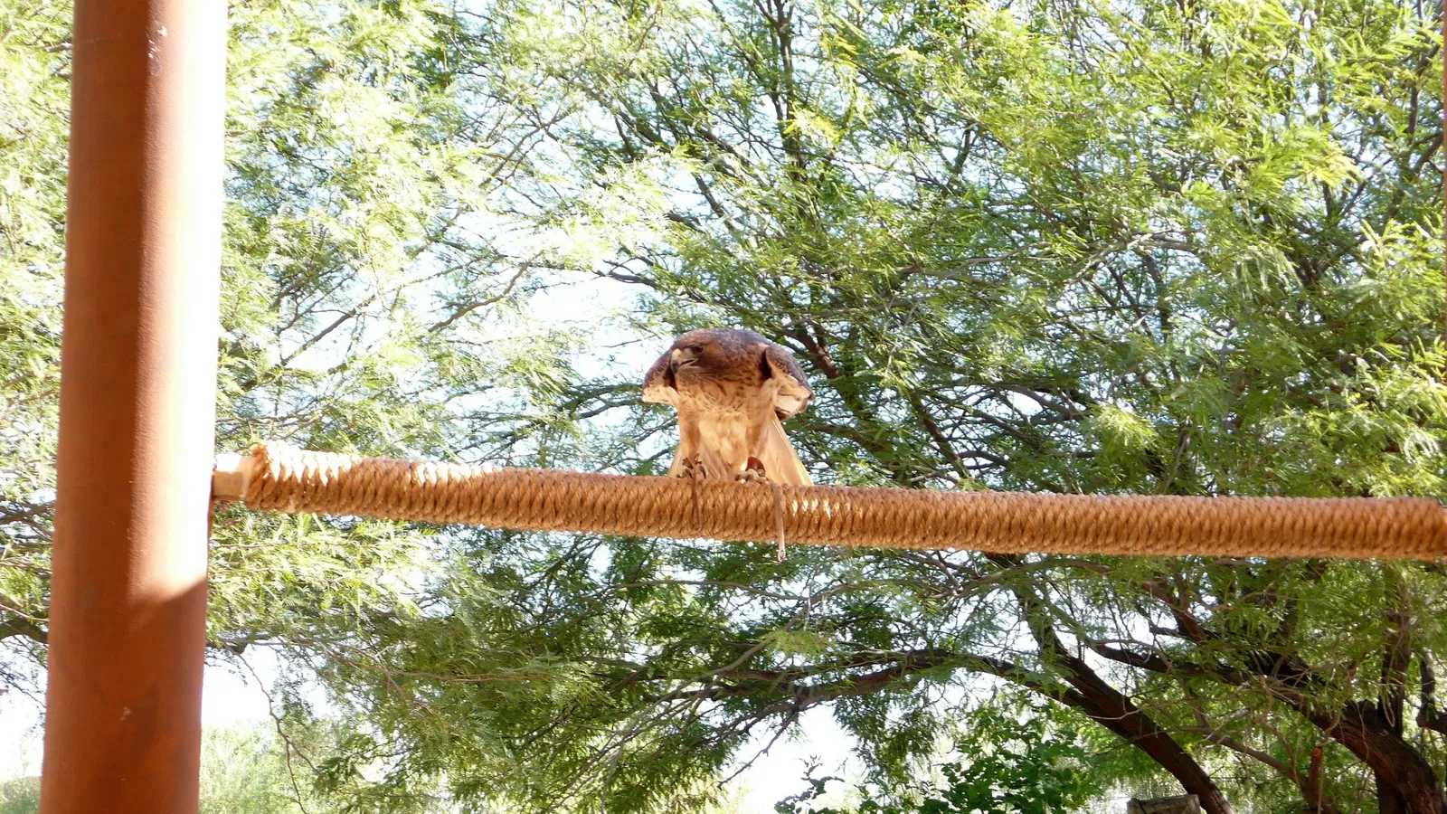Jardín botánico y zoológico Living Desert