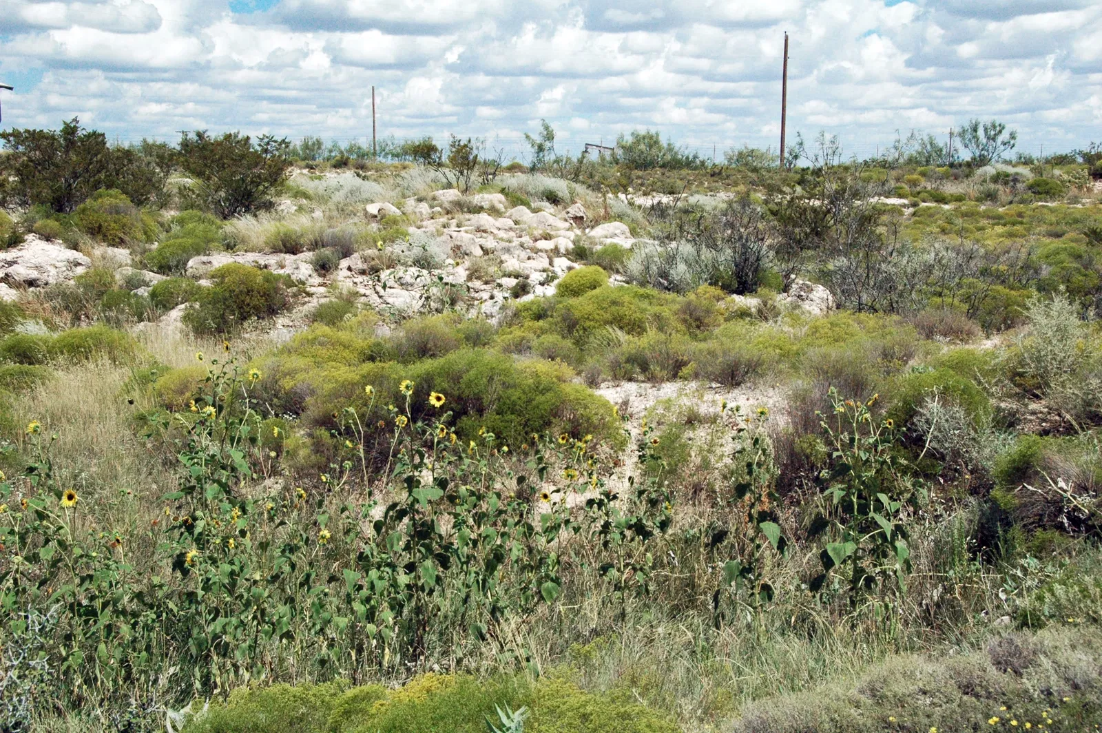 Odessa Meteor Crater Museum