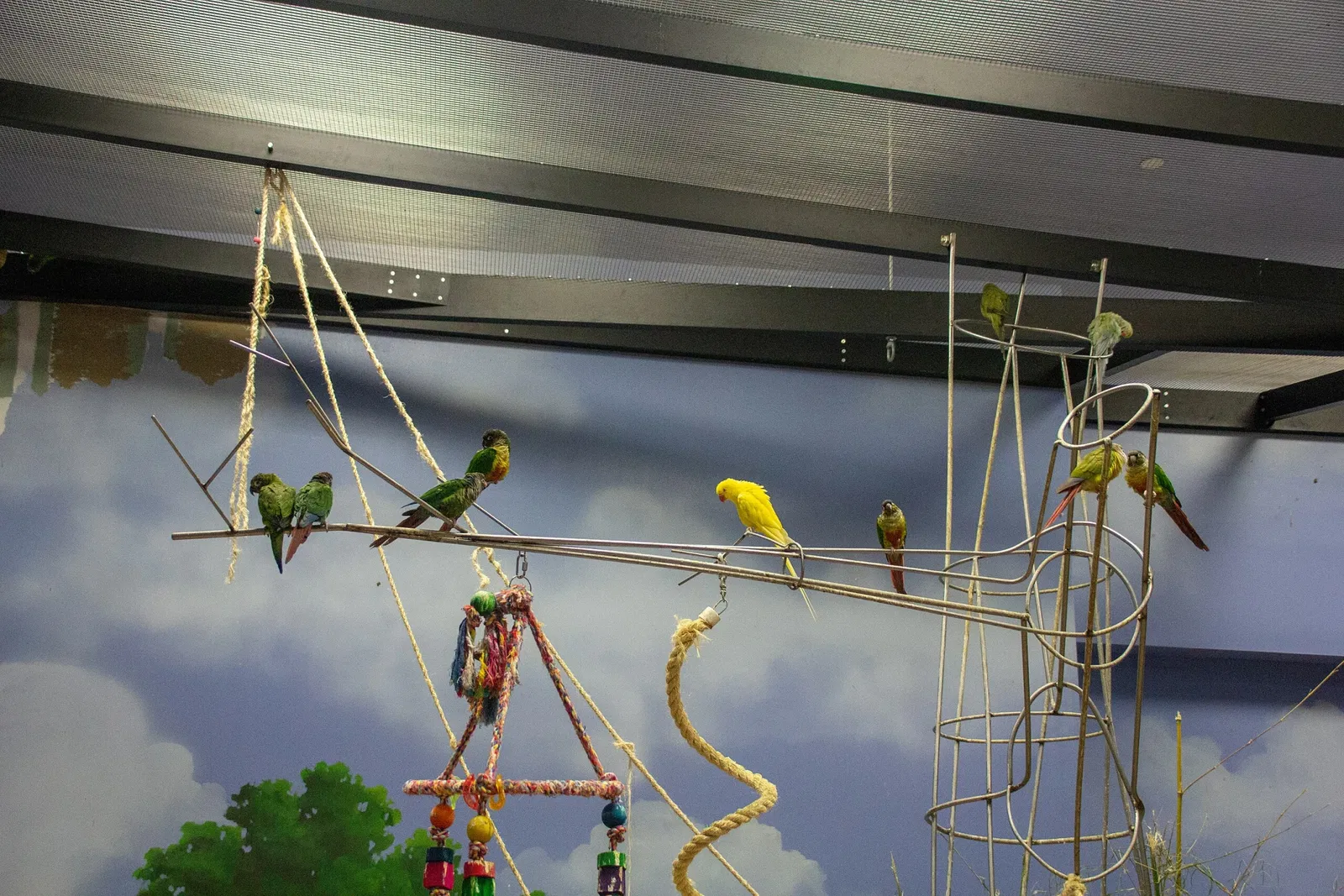 Acuario y centro de exhibiciones de Long Island