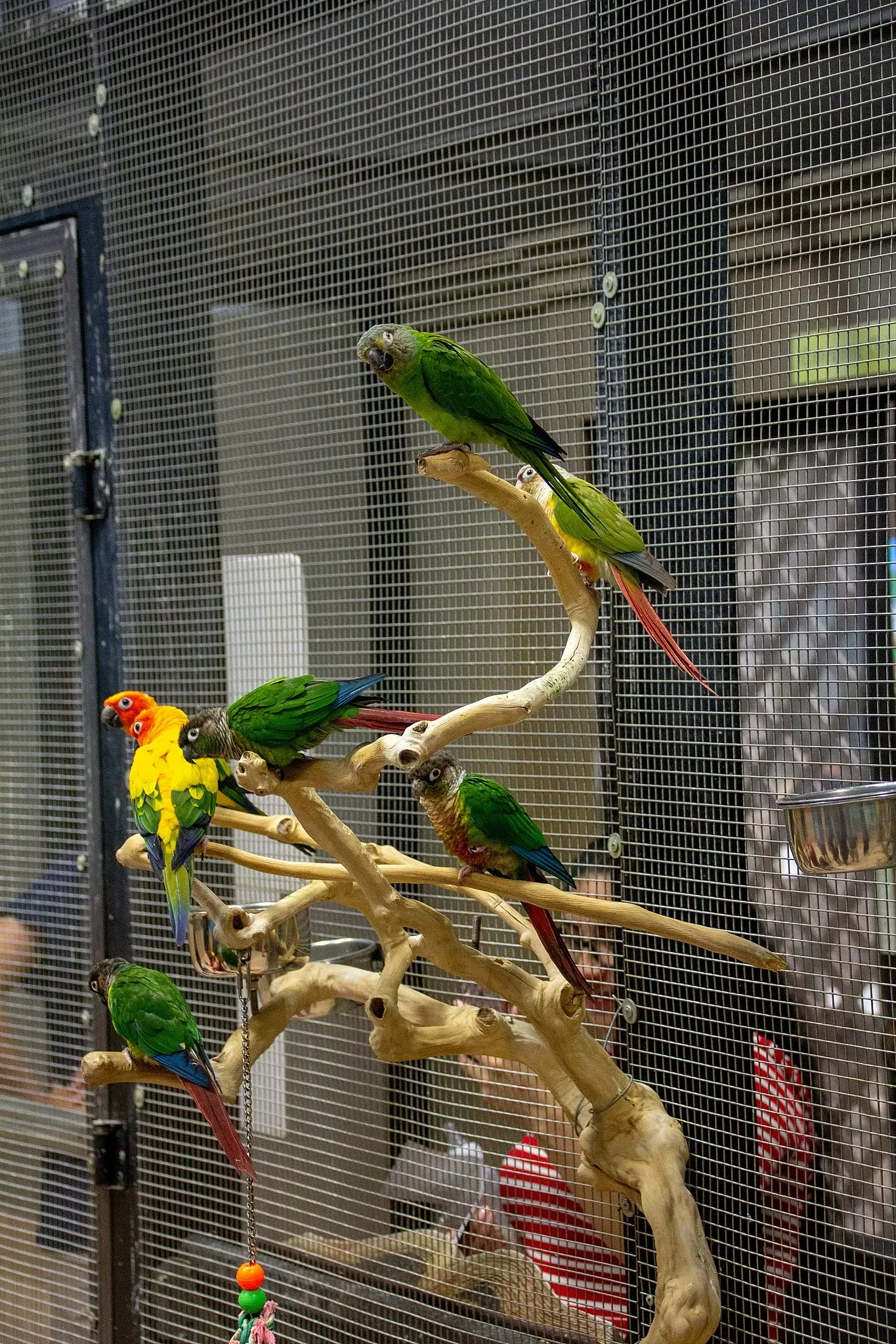 Acuario y centro de exhibiciones de Long Island