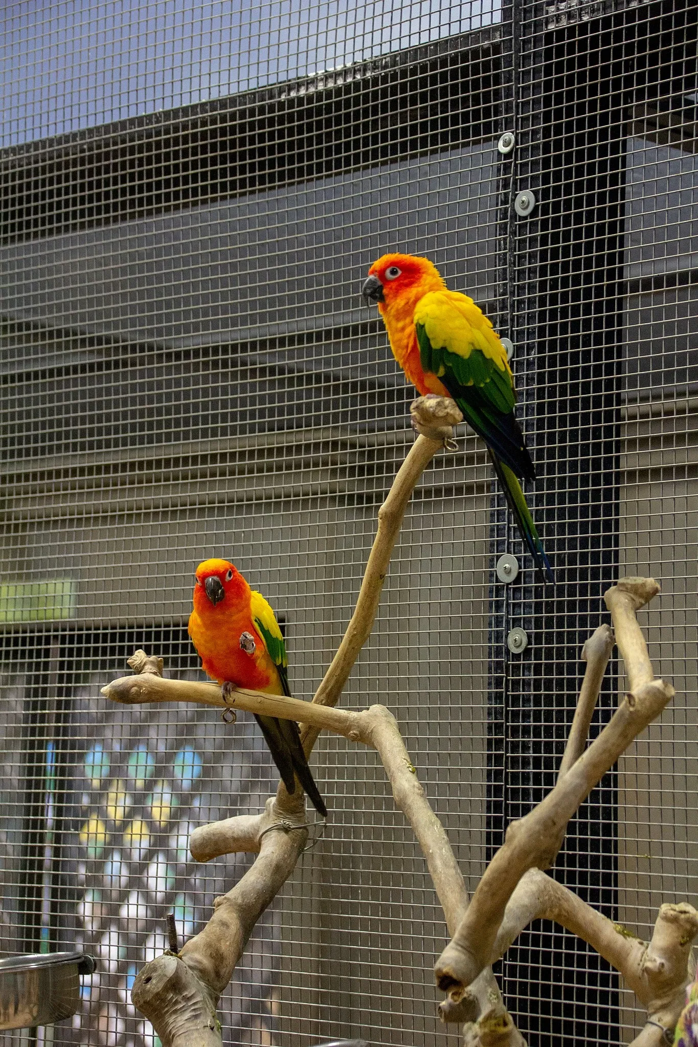 Acuario y centro de exhibiciones de Long Island