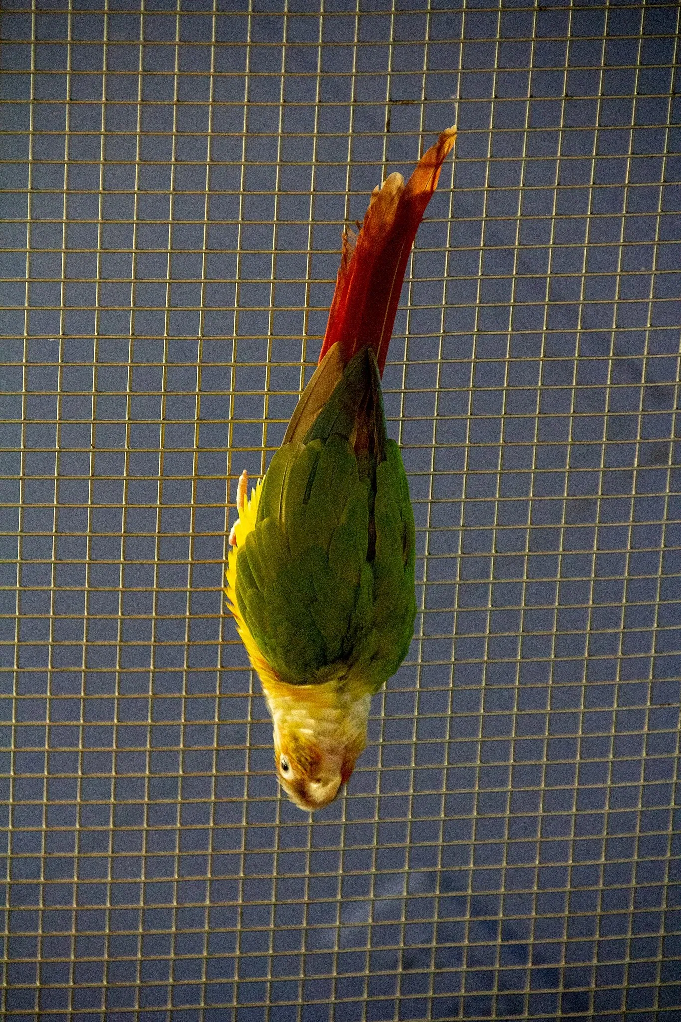 Acuario y centro de exhibiciones de Long Island