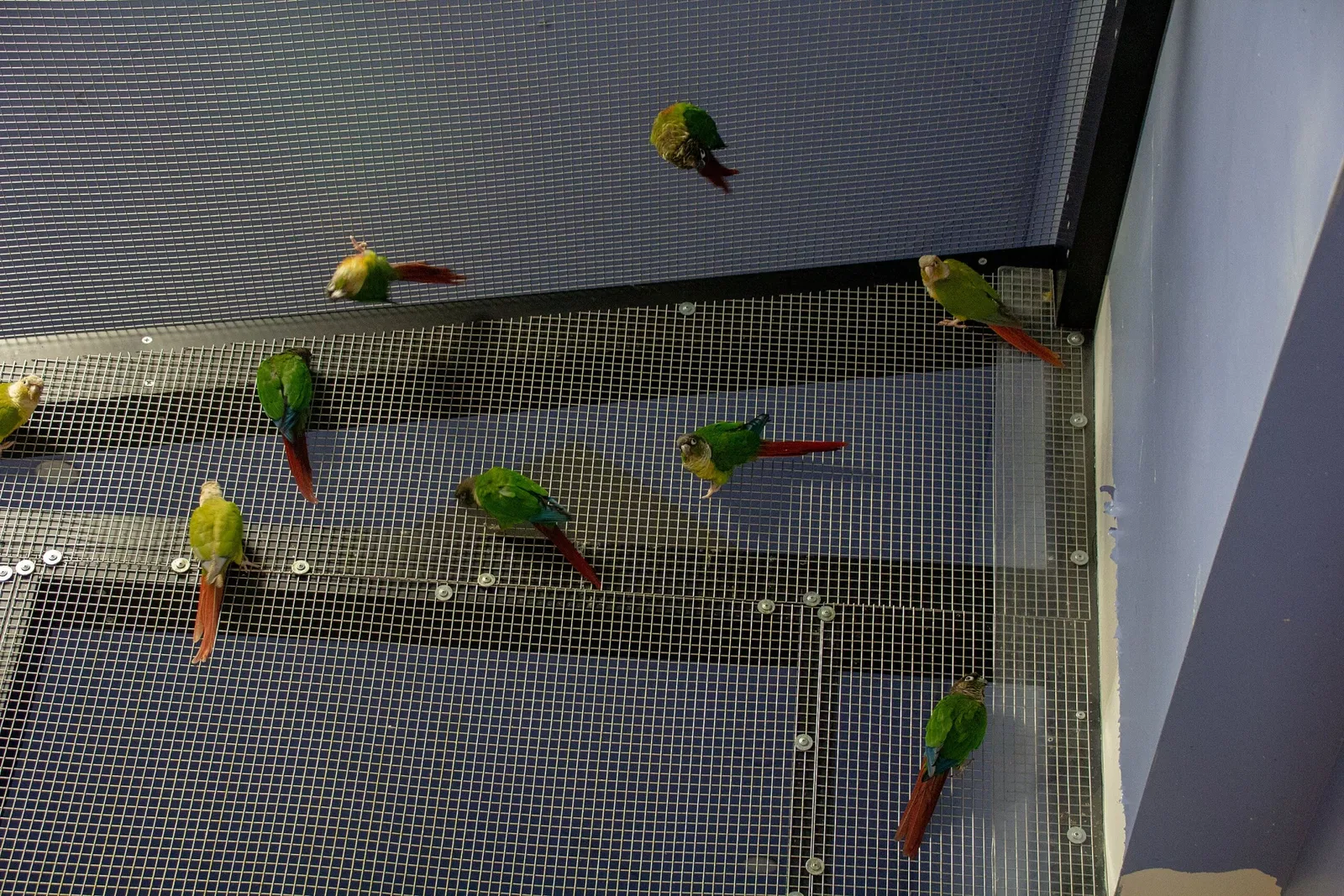 Acquario di Long Island