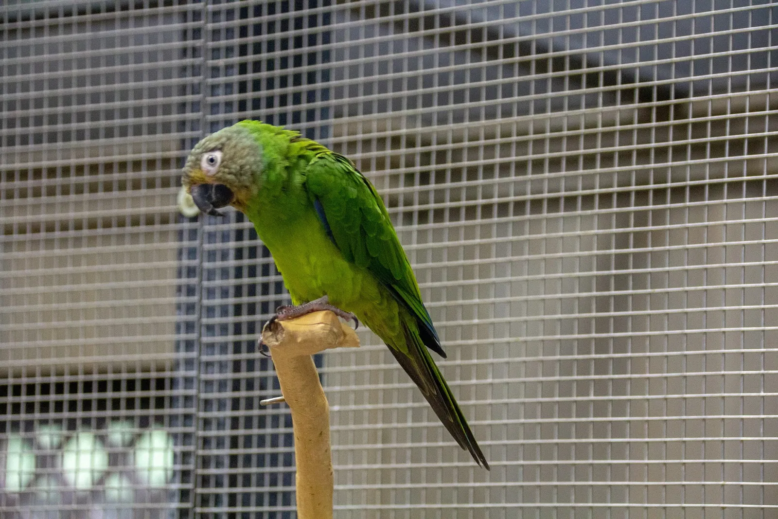 Acuario y centro de exhibiciones de Long Island