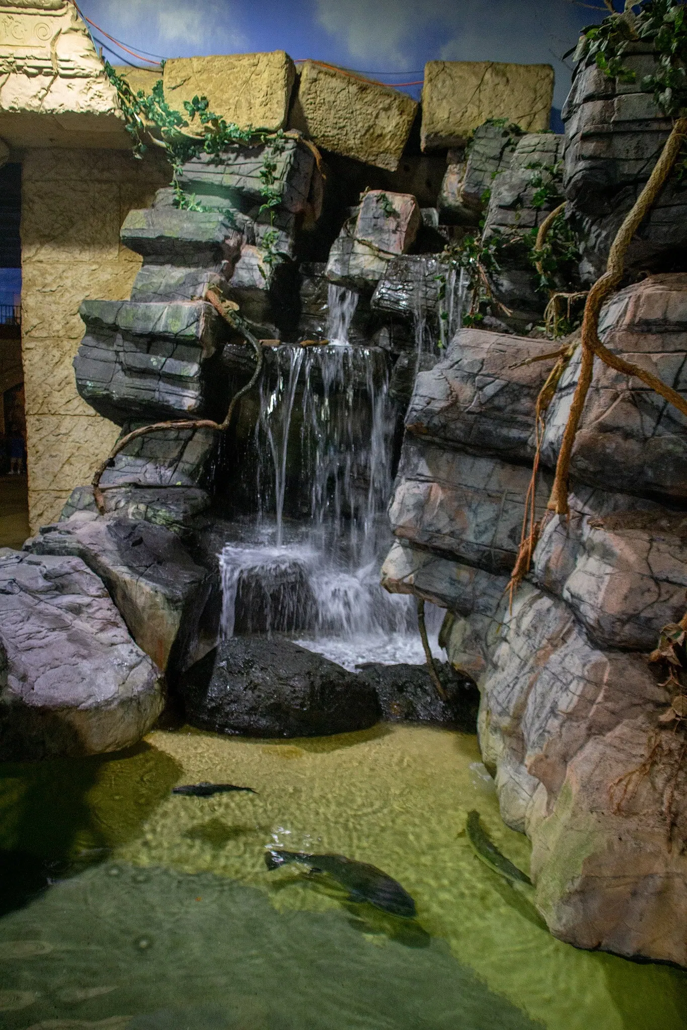Acquario di Long Island