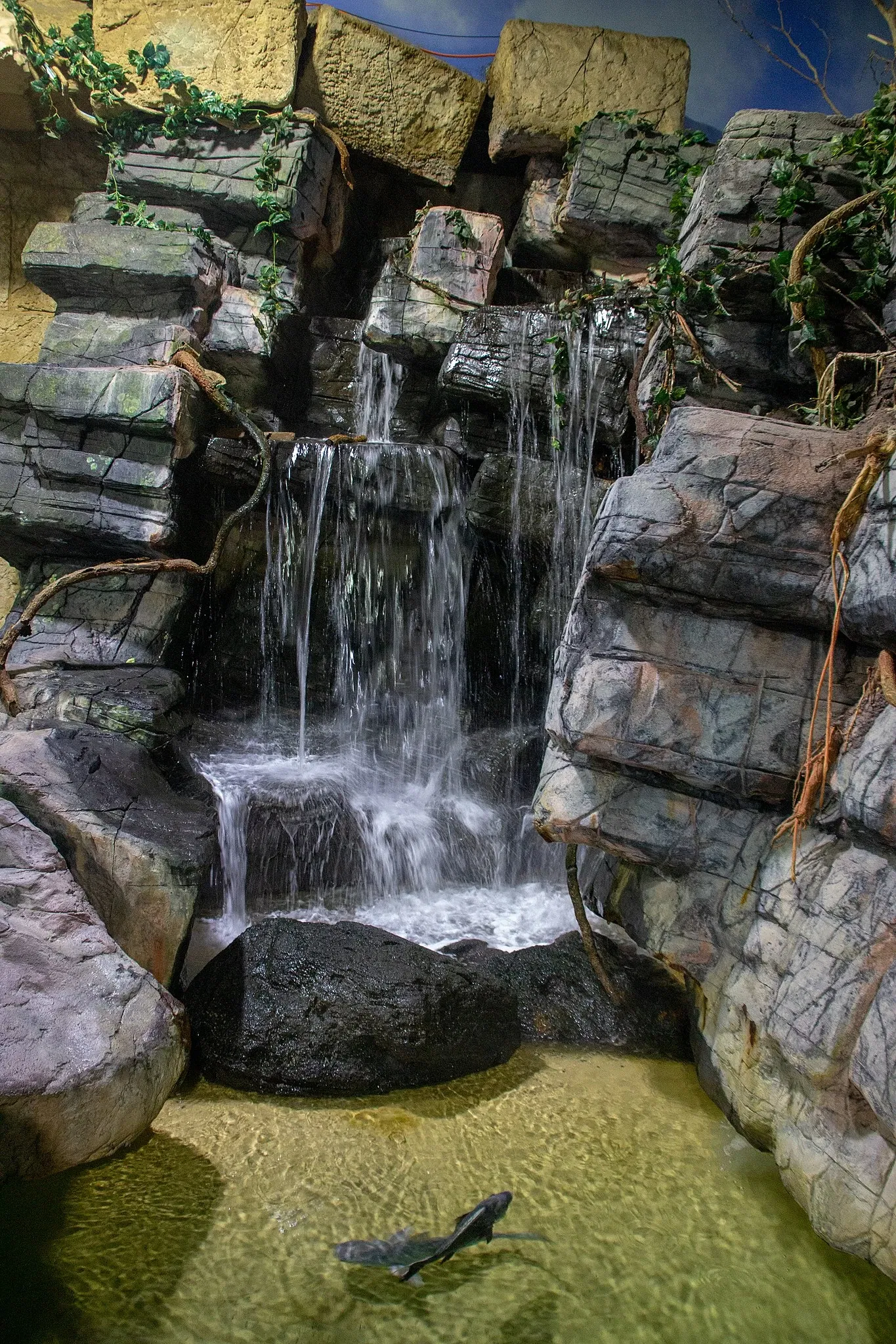 Acuario y centro de exhibiciones de Long Island