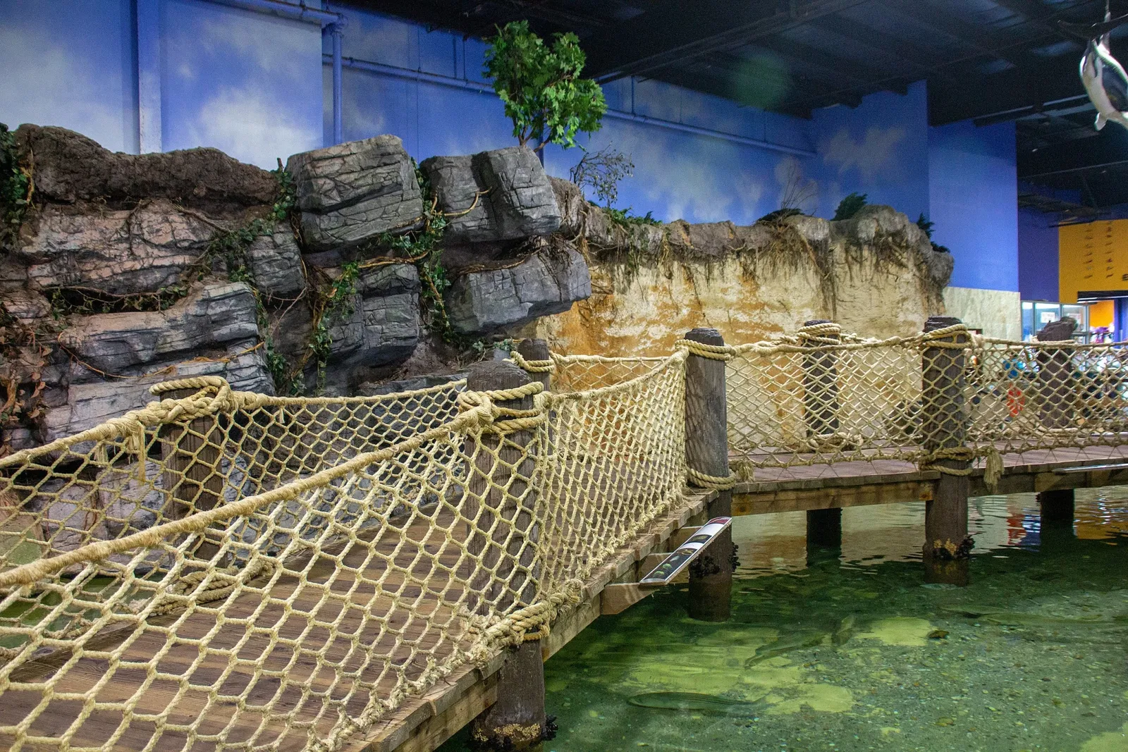 Acquario di Long Island