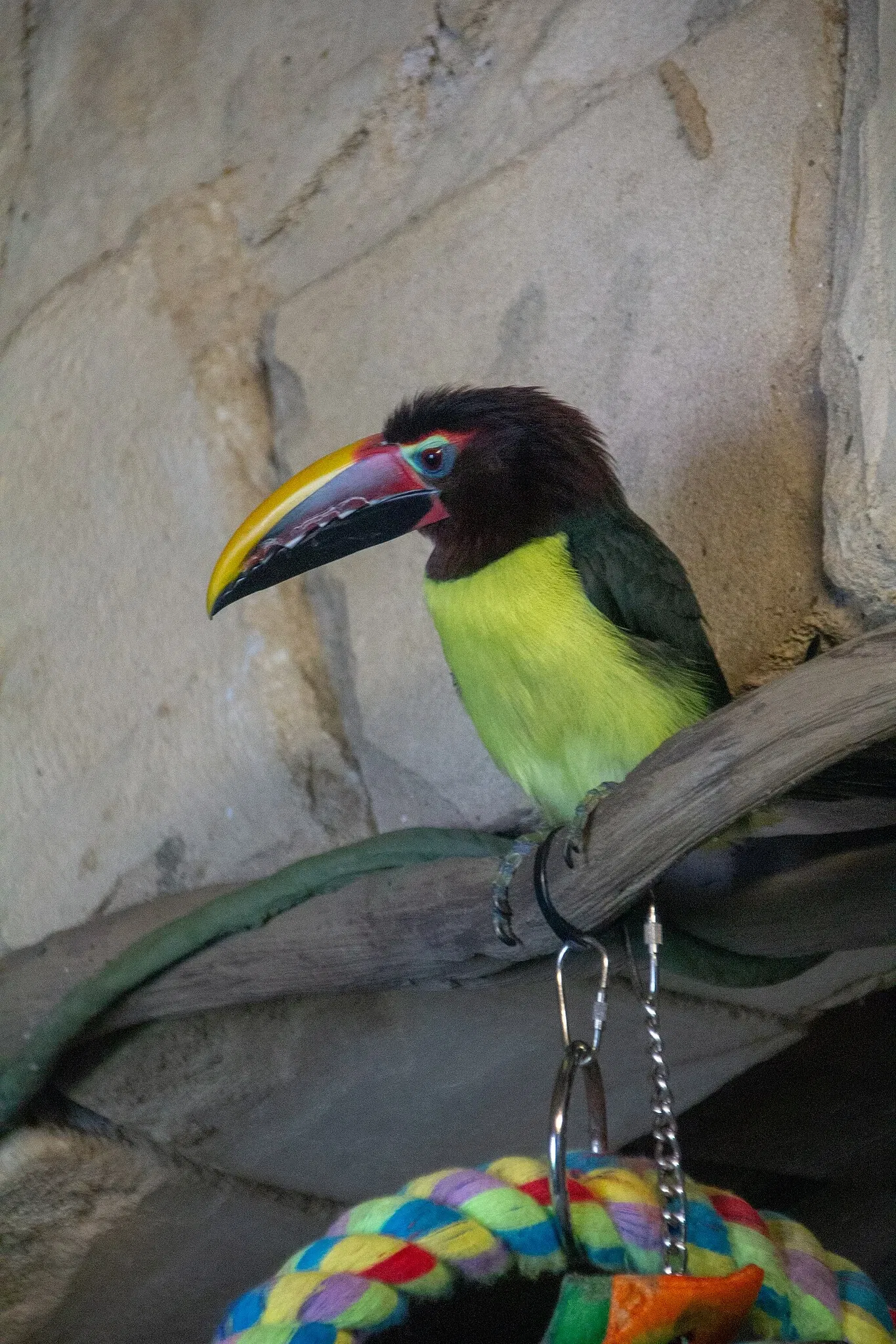Acquario di Long Island
