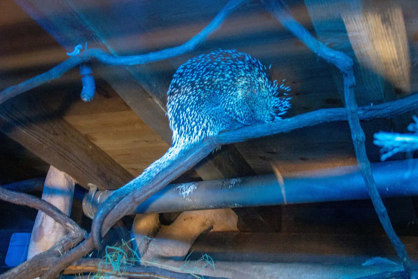 Acuario y centro de exhibiciones de Long Island