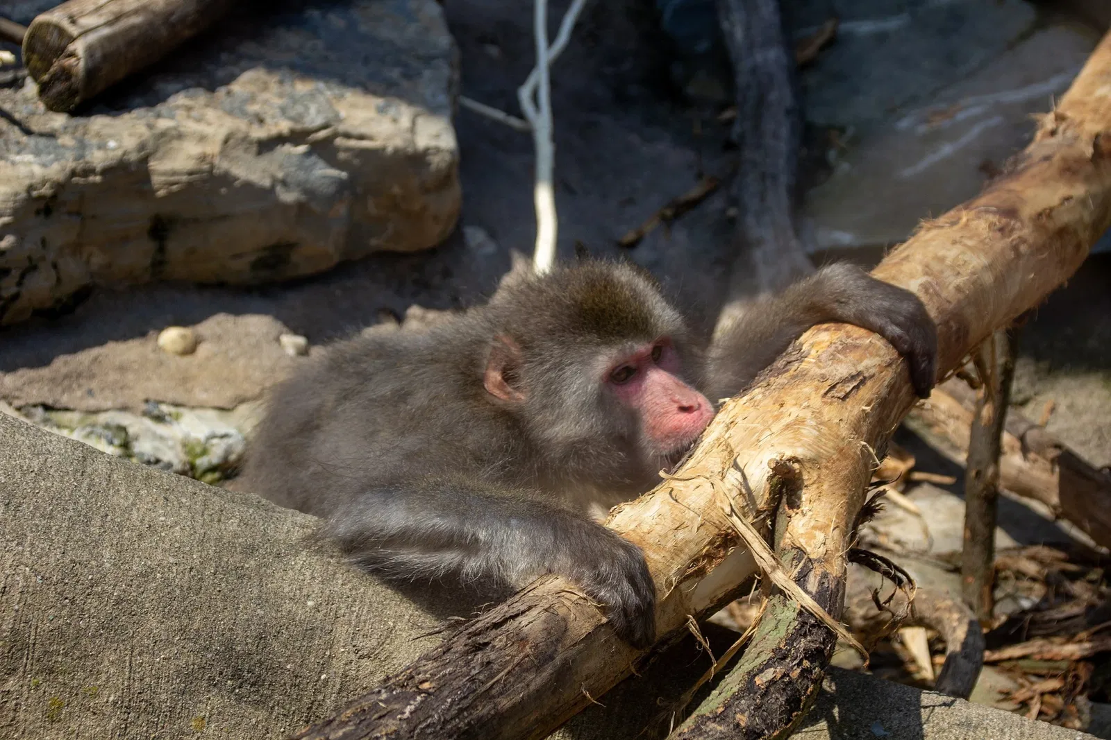 Acuario y centro de exhibiciones de Long Island