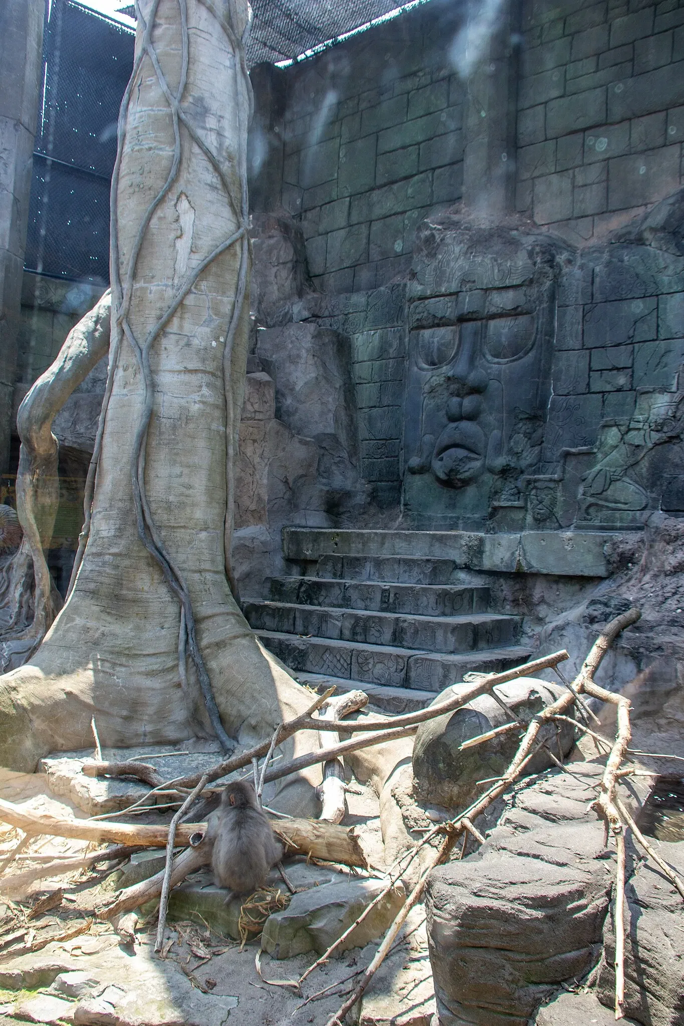 Acquario di Long Island