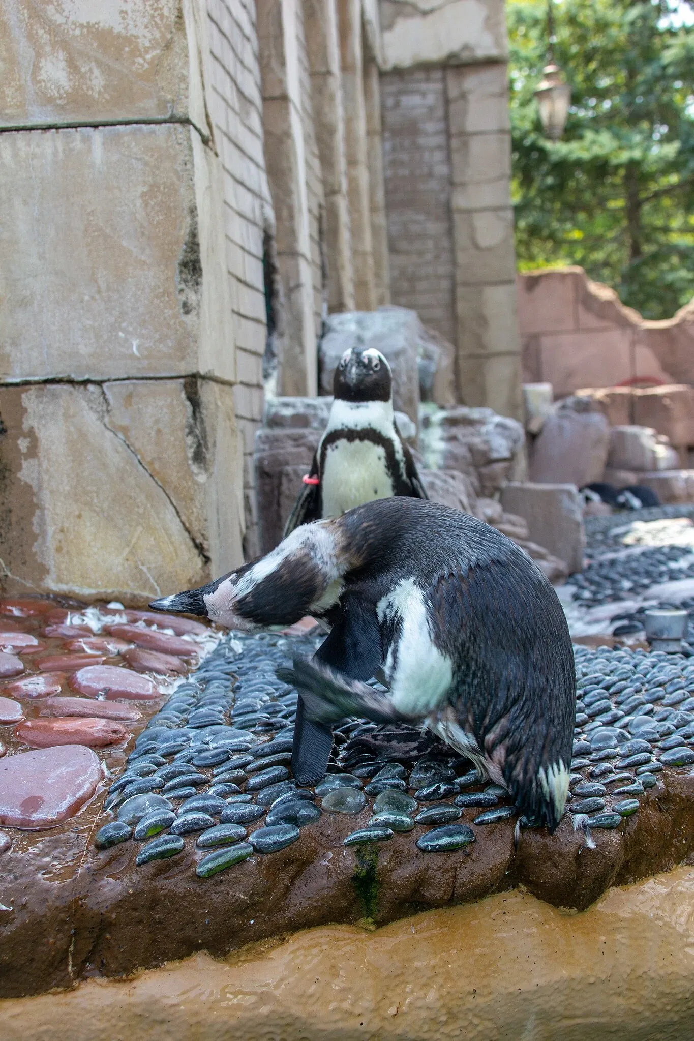 Acquario di Long Island