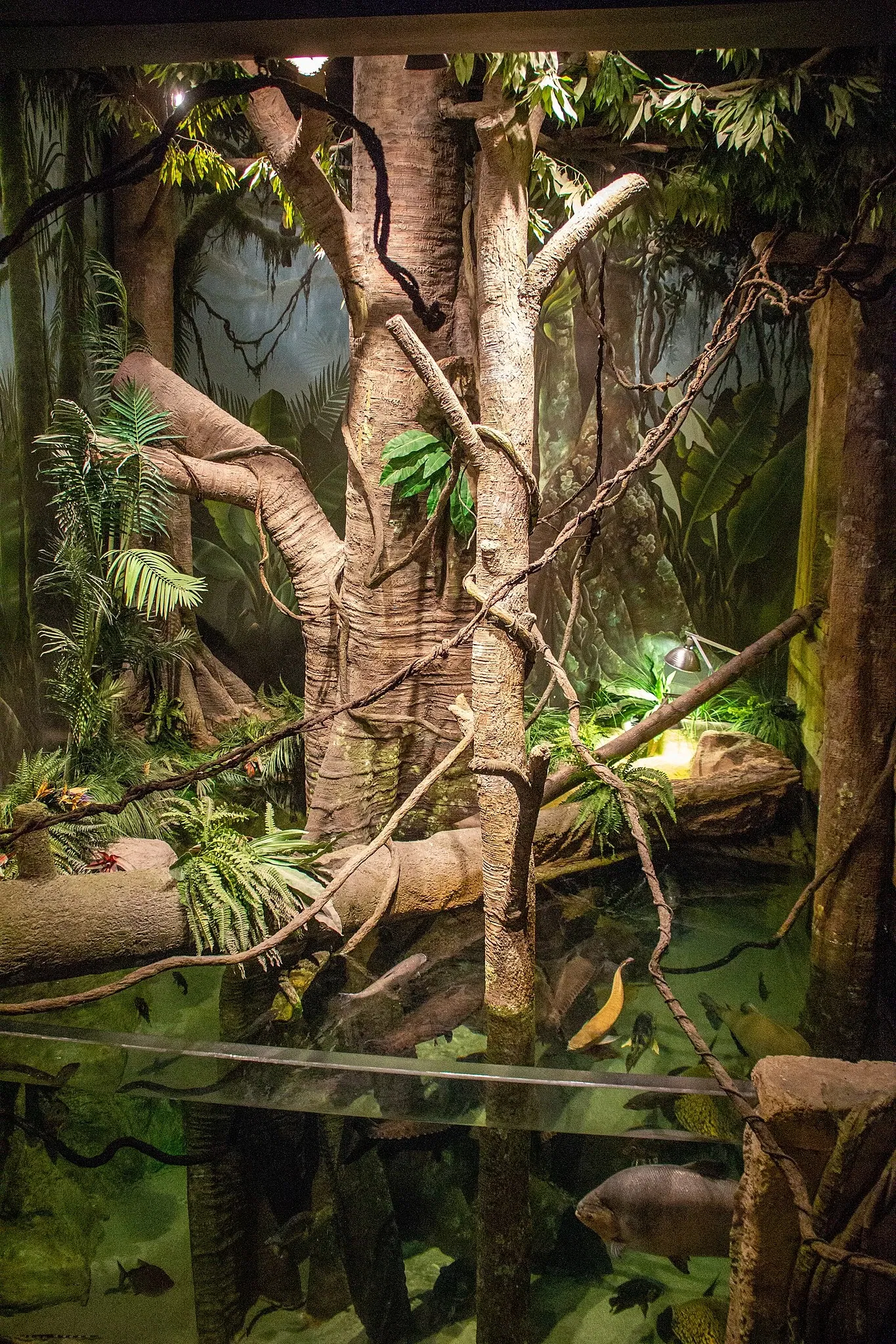 Acuario y centro de exhibiciones de Long Island