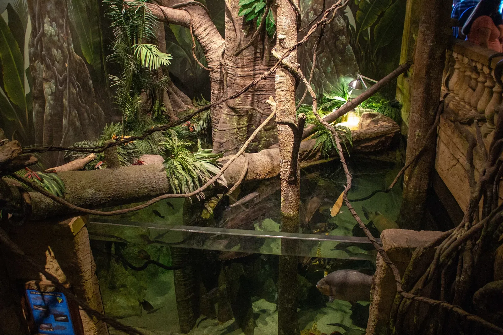 Acuario y centro de exhibiciones de Long Island