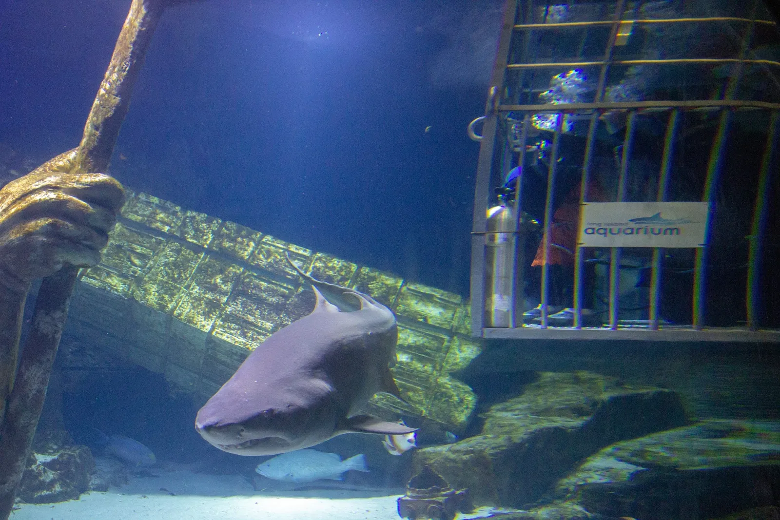 Acquario di Long Island