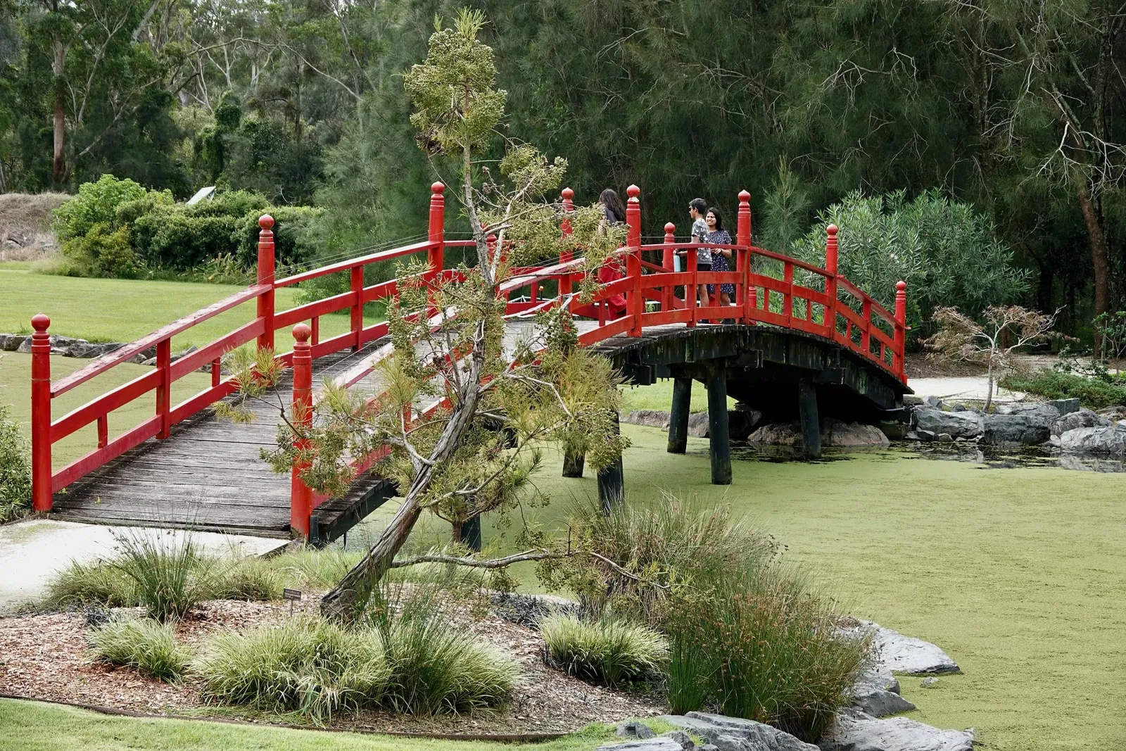 North Coast Regional Botanic Garden