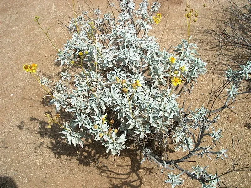 Ya'i Heki' Regional Indian Museum