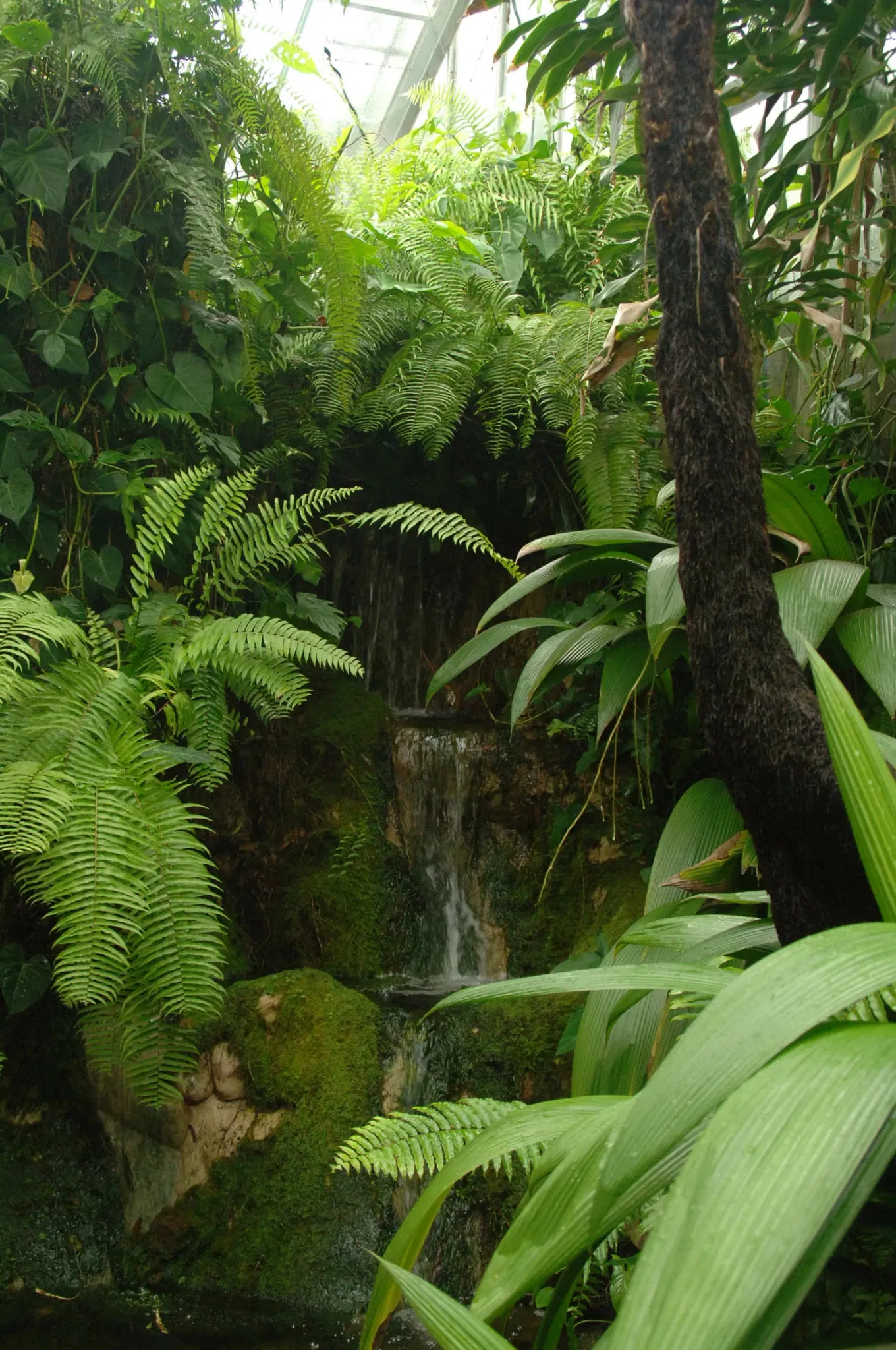 Australian Butterfly Sanctuary