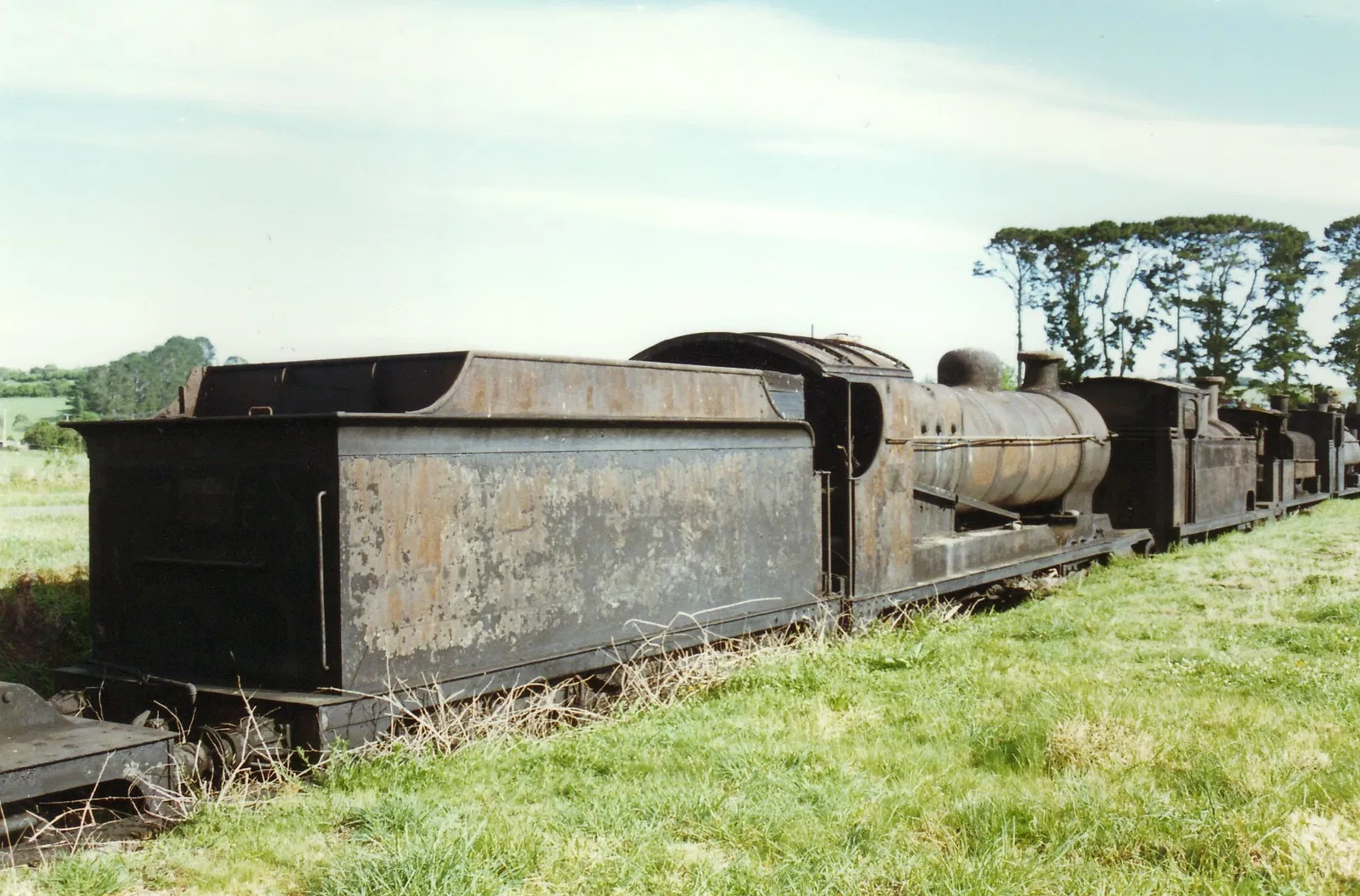 Dorrigo Steam Railway and Museum Limited