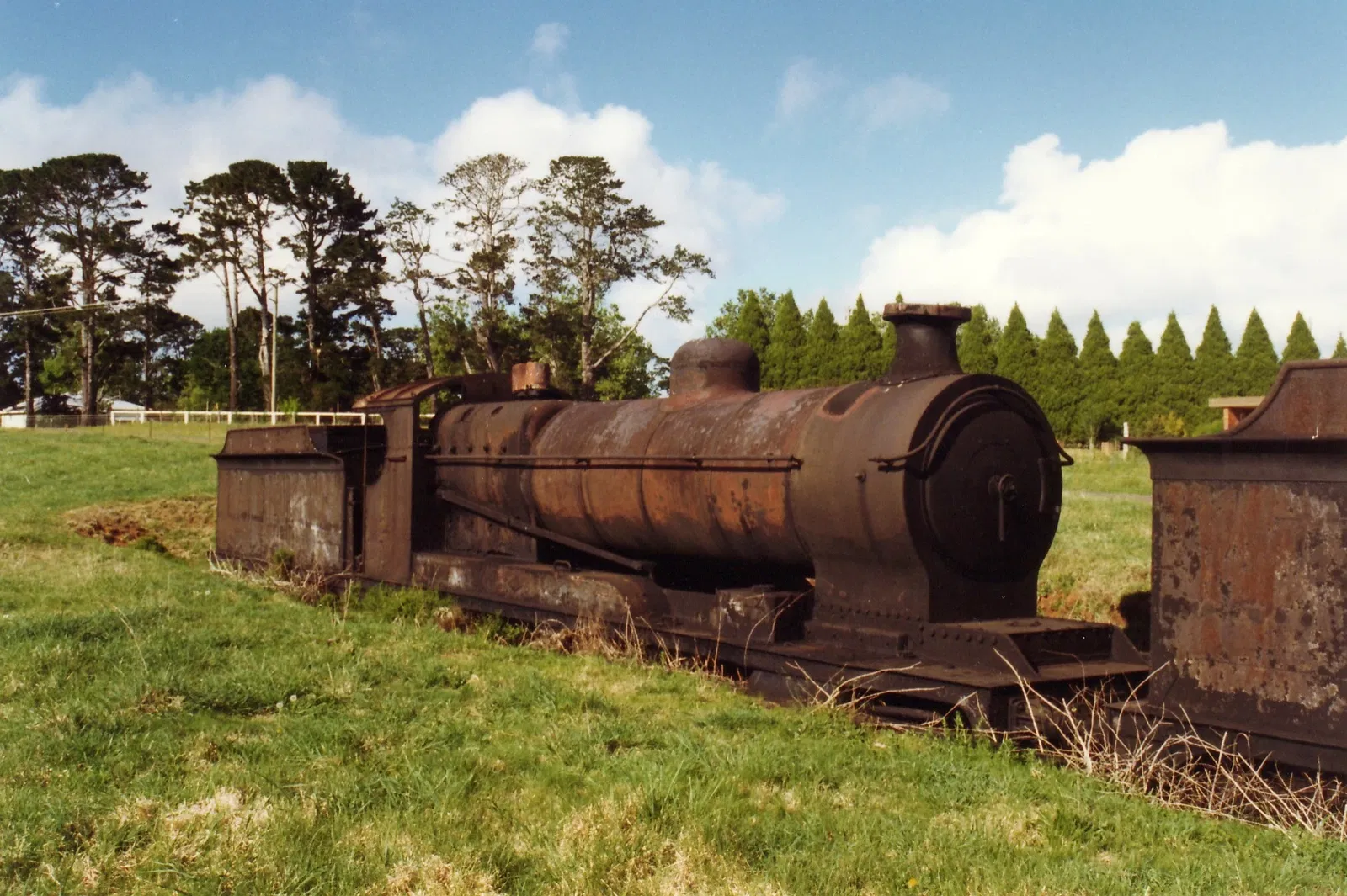 Dorrigo Steam Railway and Museum Limited