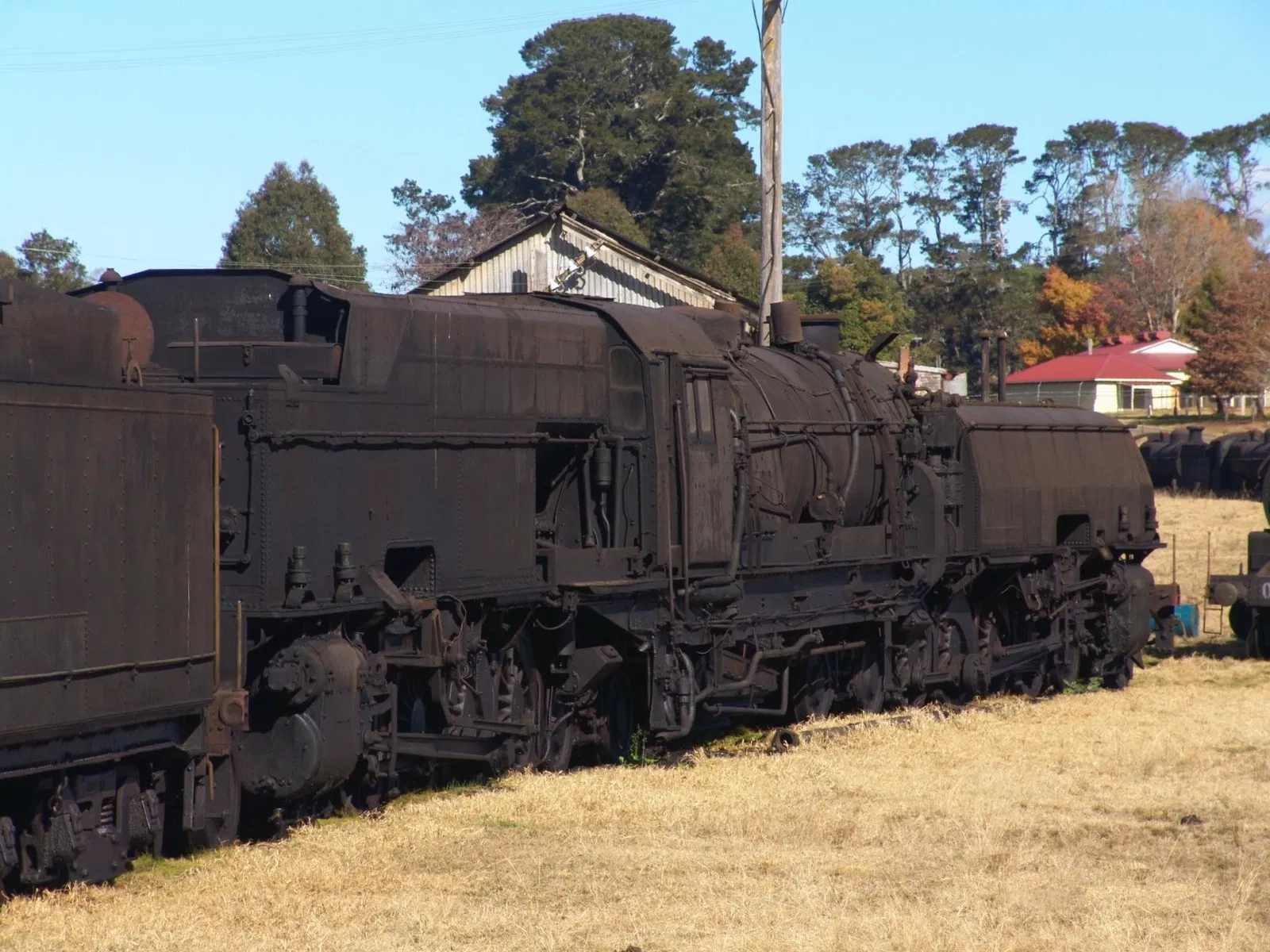 Dorrigo Steam Railway and Museum Limited