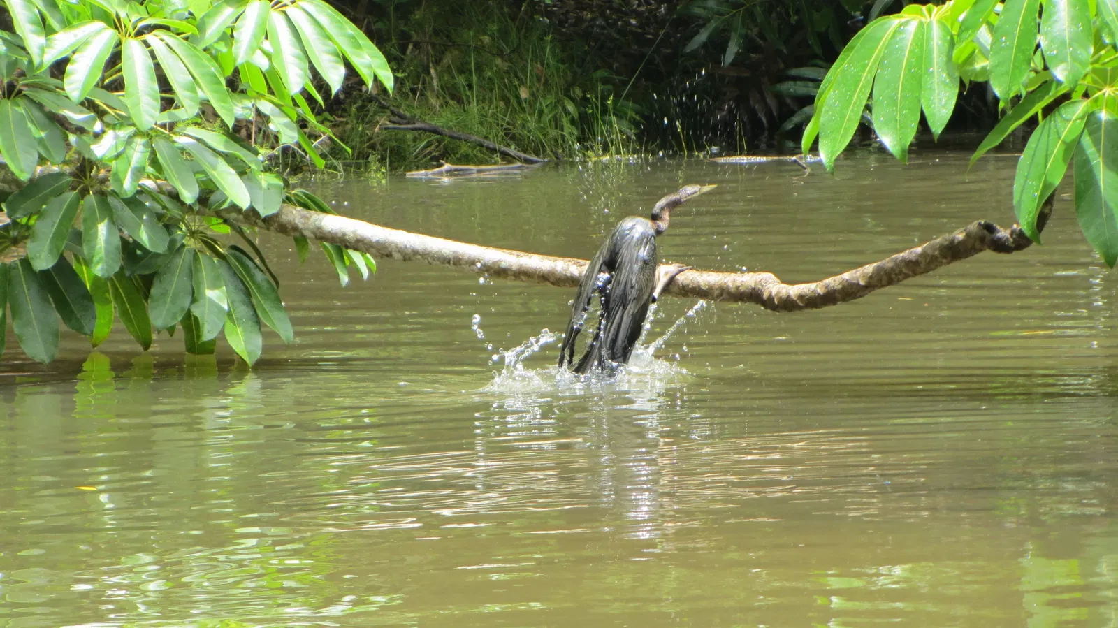Rainforestation Nature Park