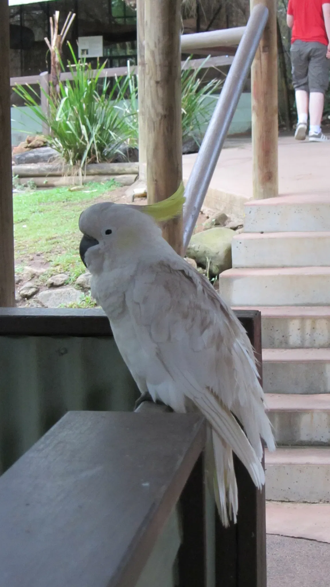 Rainforestation Nature Park