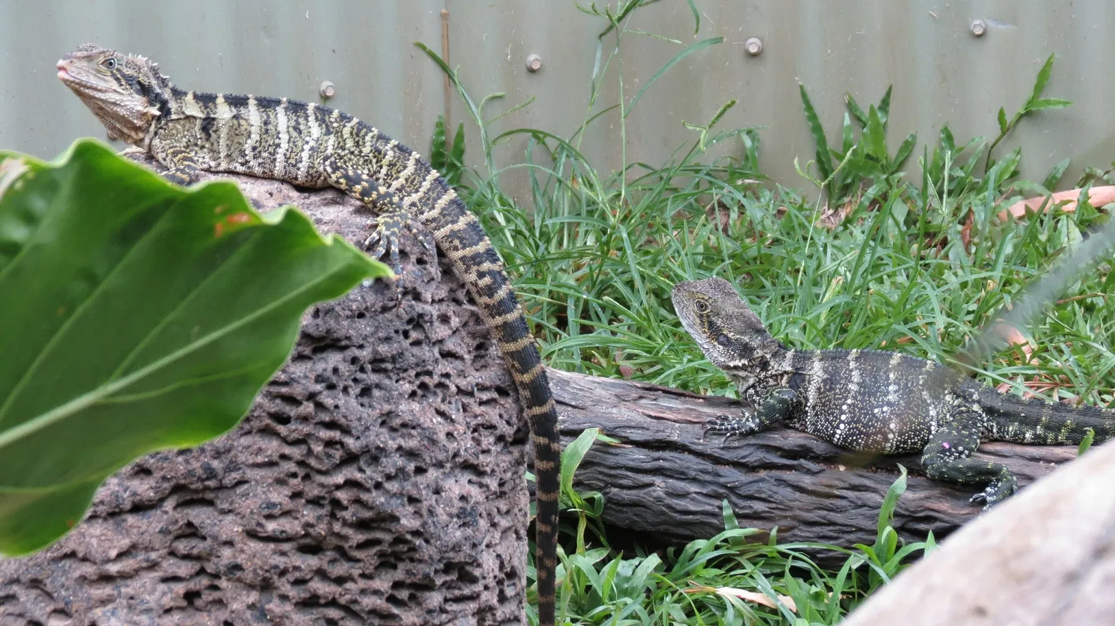 Rainforestation Nature Park