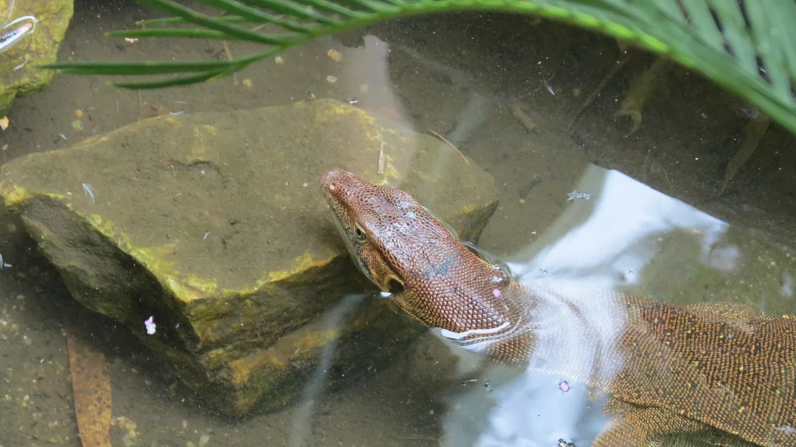 Rainforestation Nature Park