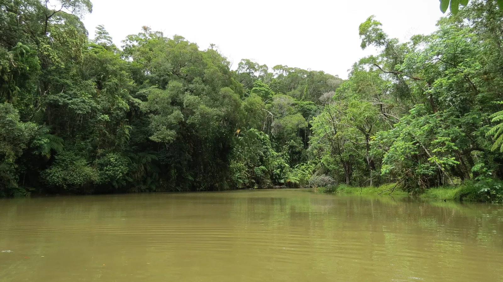 Rainforestation Nature Park