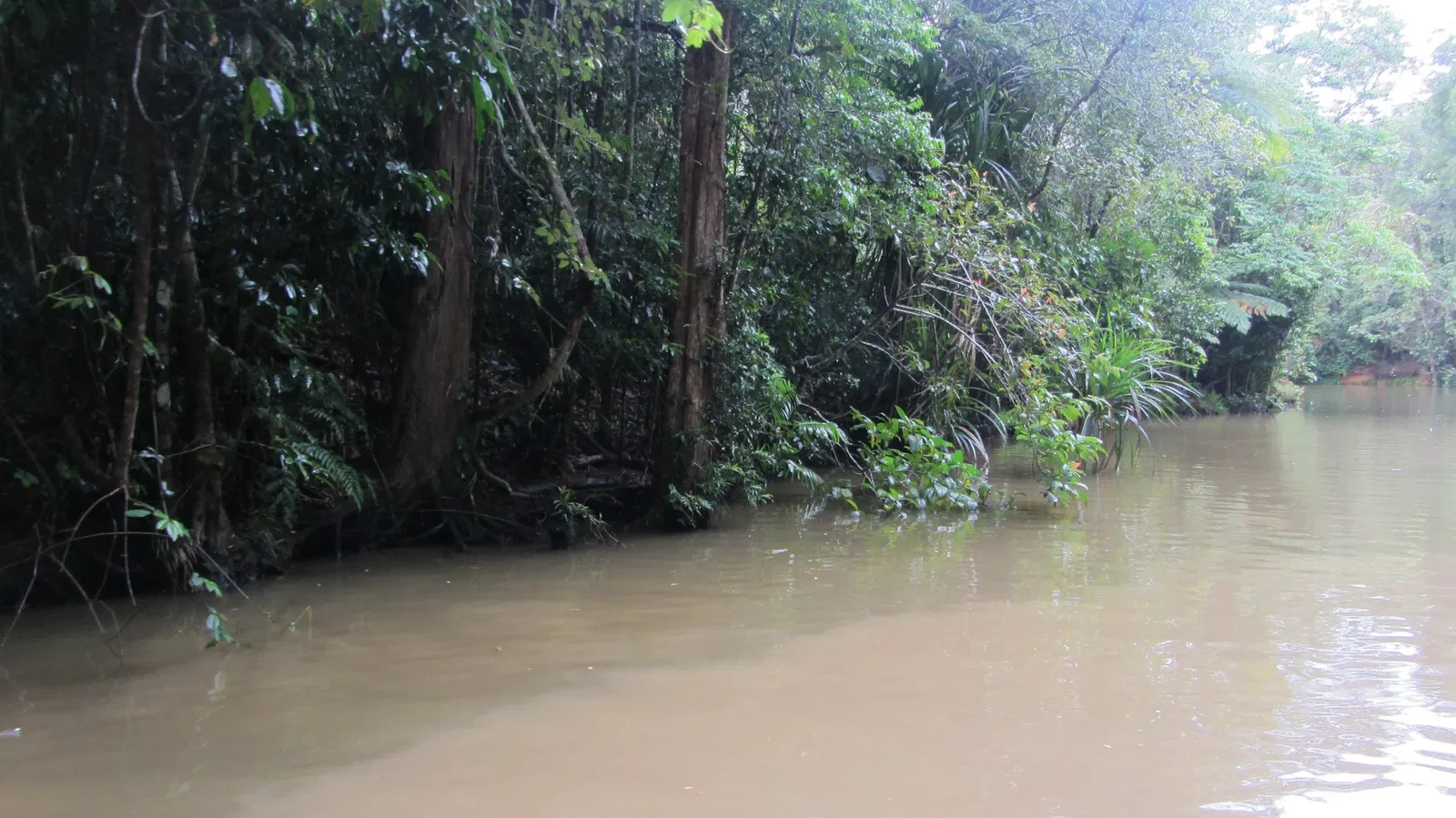 Rainforestation Nature Park
