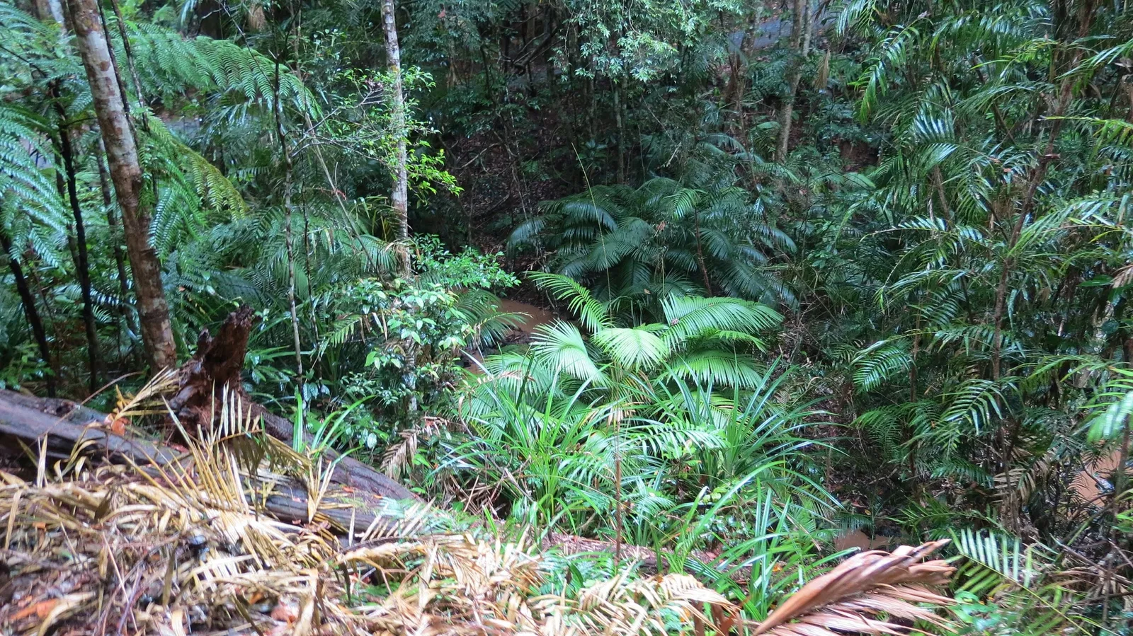 Rainforestation Nature Park