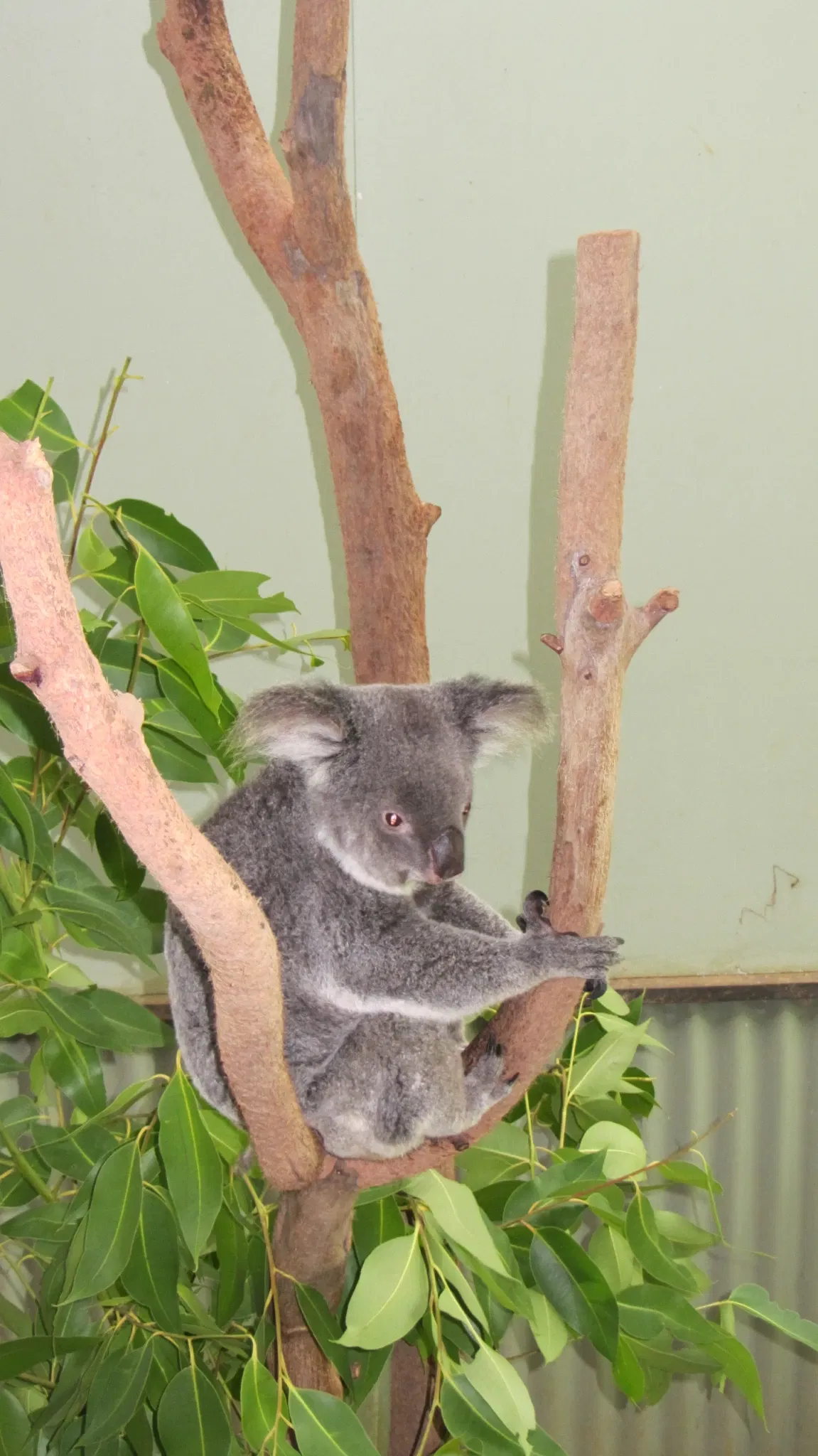 Rainforestation Nature Park